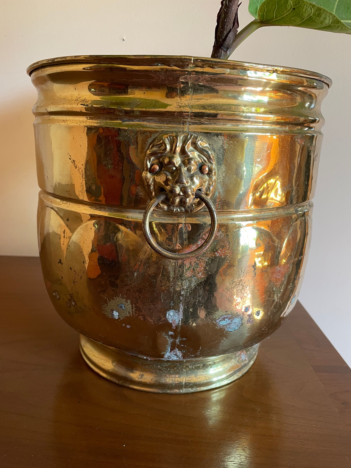Brass Lion Head Ringed Jardiniere