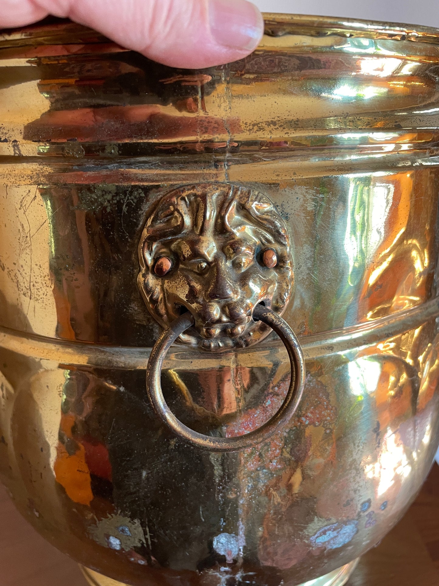 Brass Lion Head Ringed Jardiniere