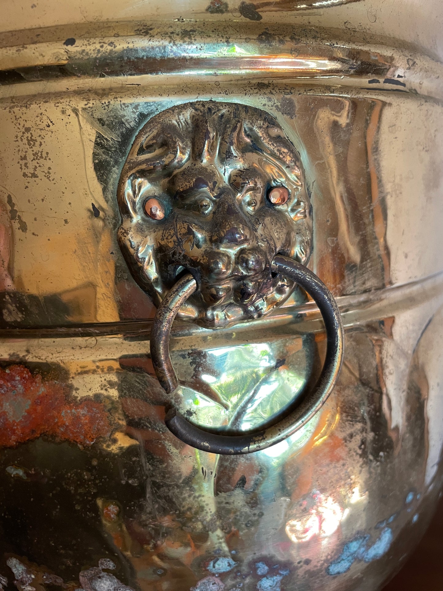 Brass Lion Head Ringed Jardiniere