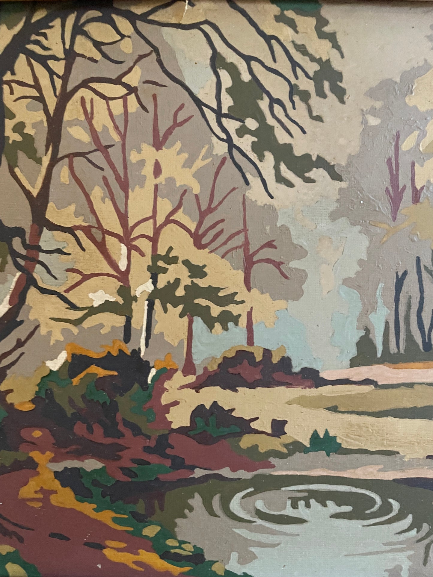 Framed Paint-by-Numbers Woodland Scene