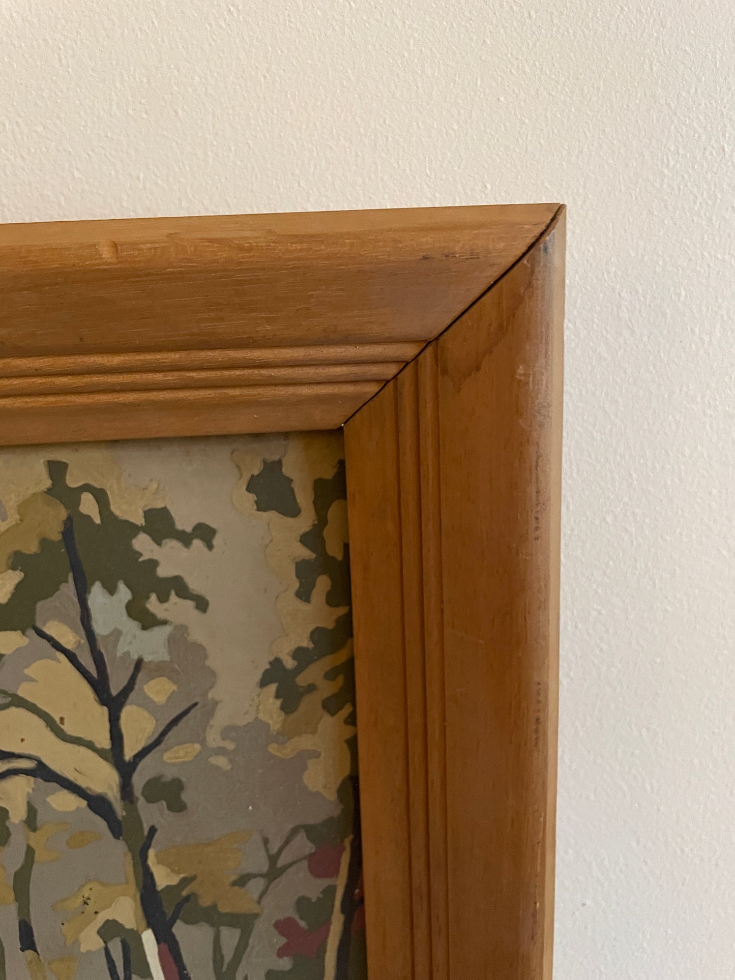 Framed Paint-by-Numbers Woodland Scene