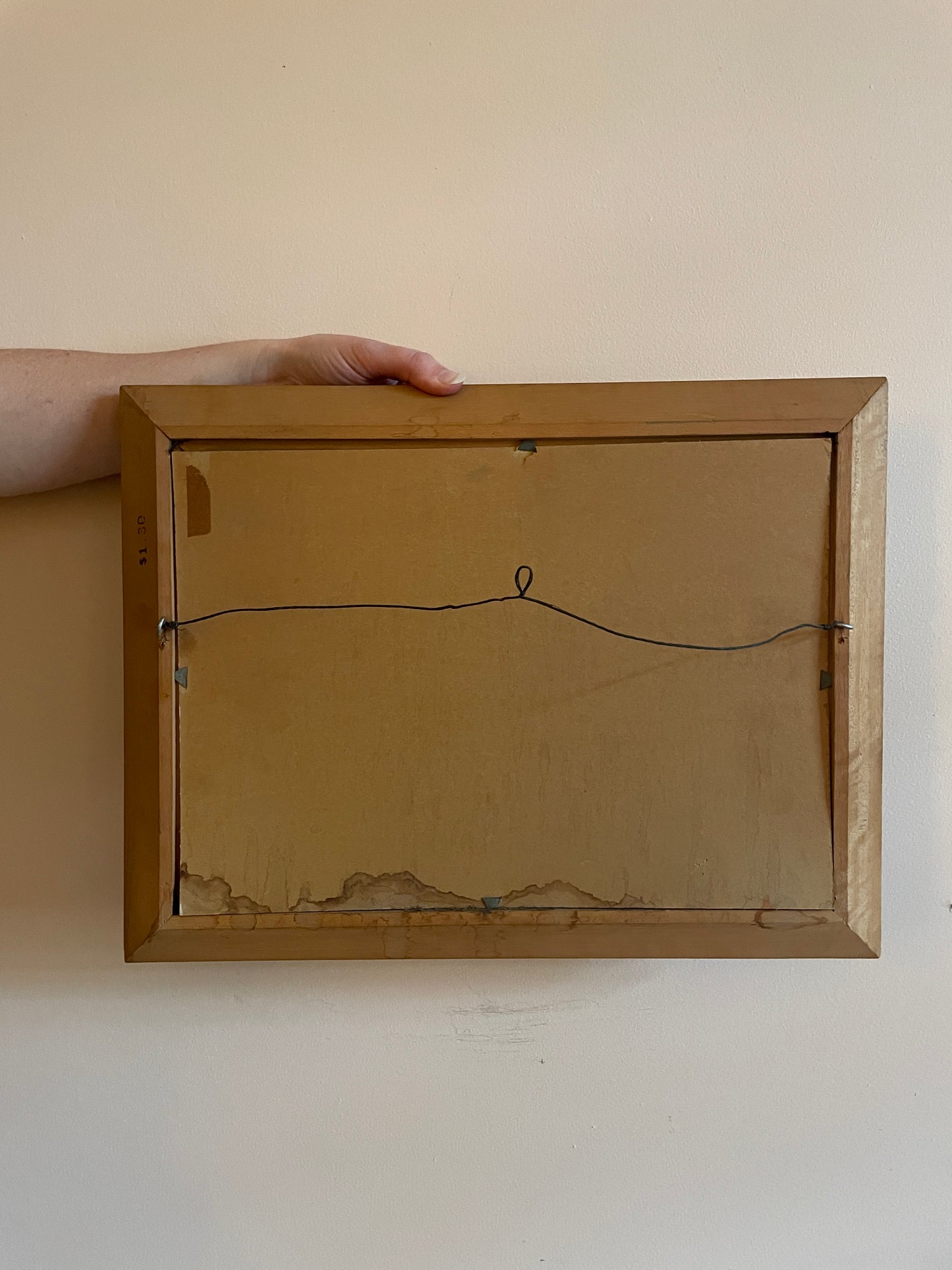 Framed Paint-by-Numbers Woodland Scene