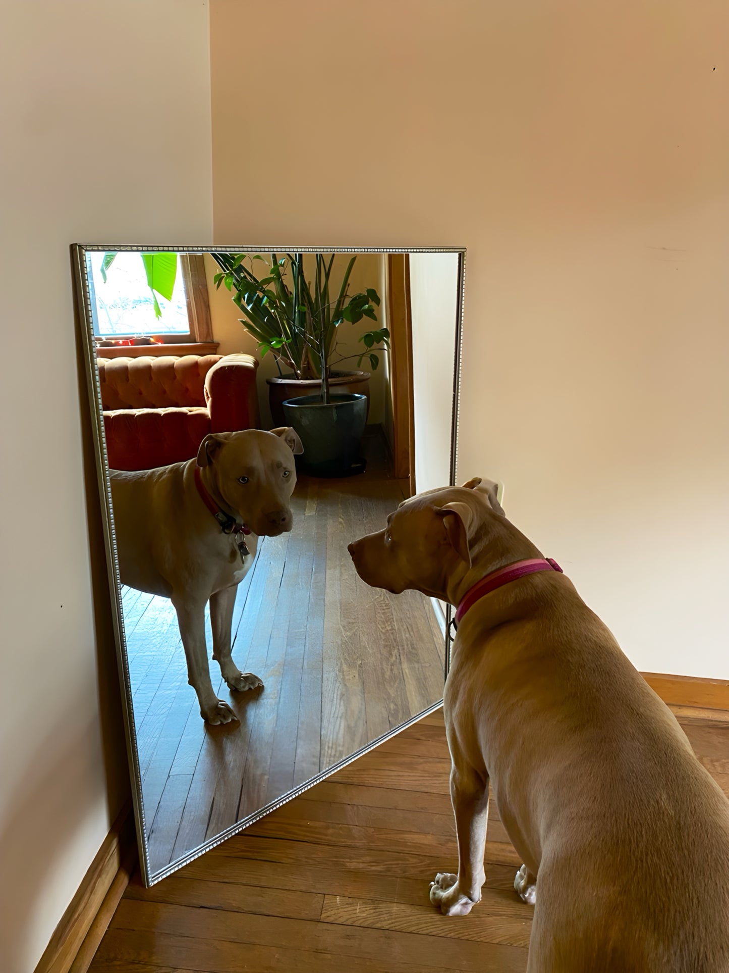 Large Hanging Mirror