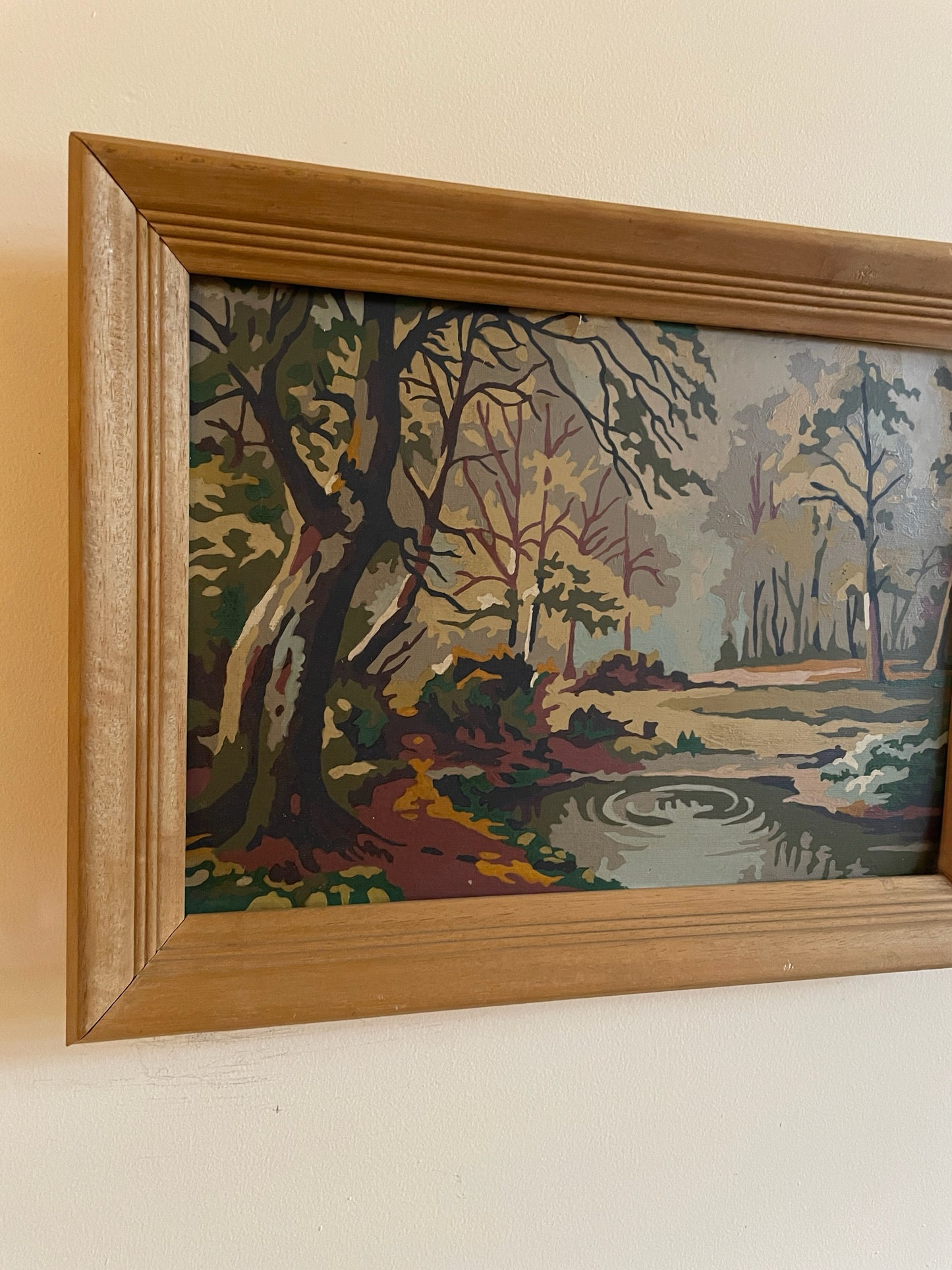 Framed Paint-by-Numbers Woodland Scene