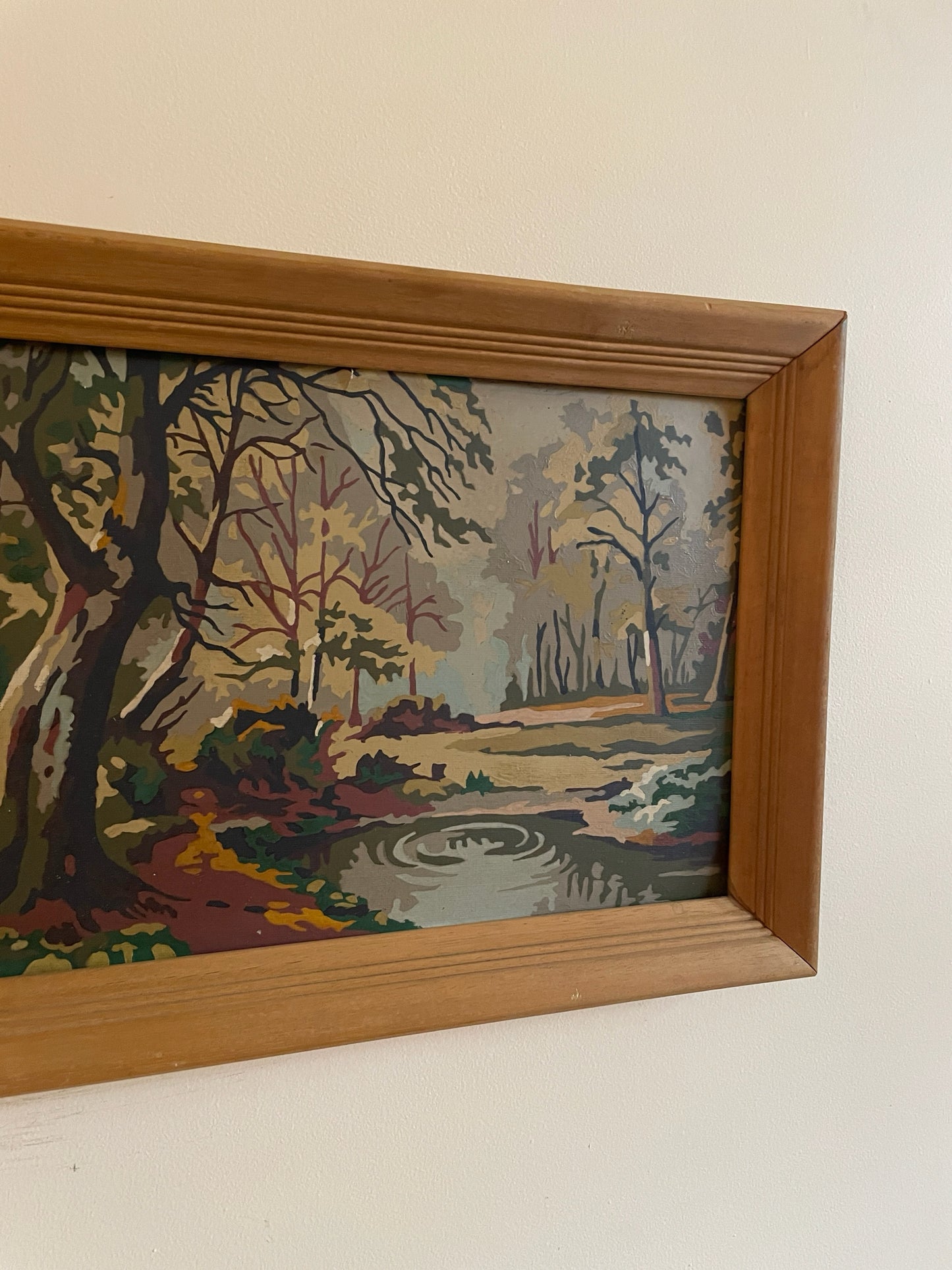 Framed Paint-by-Numbers Woodland Scene