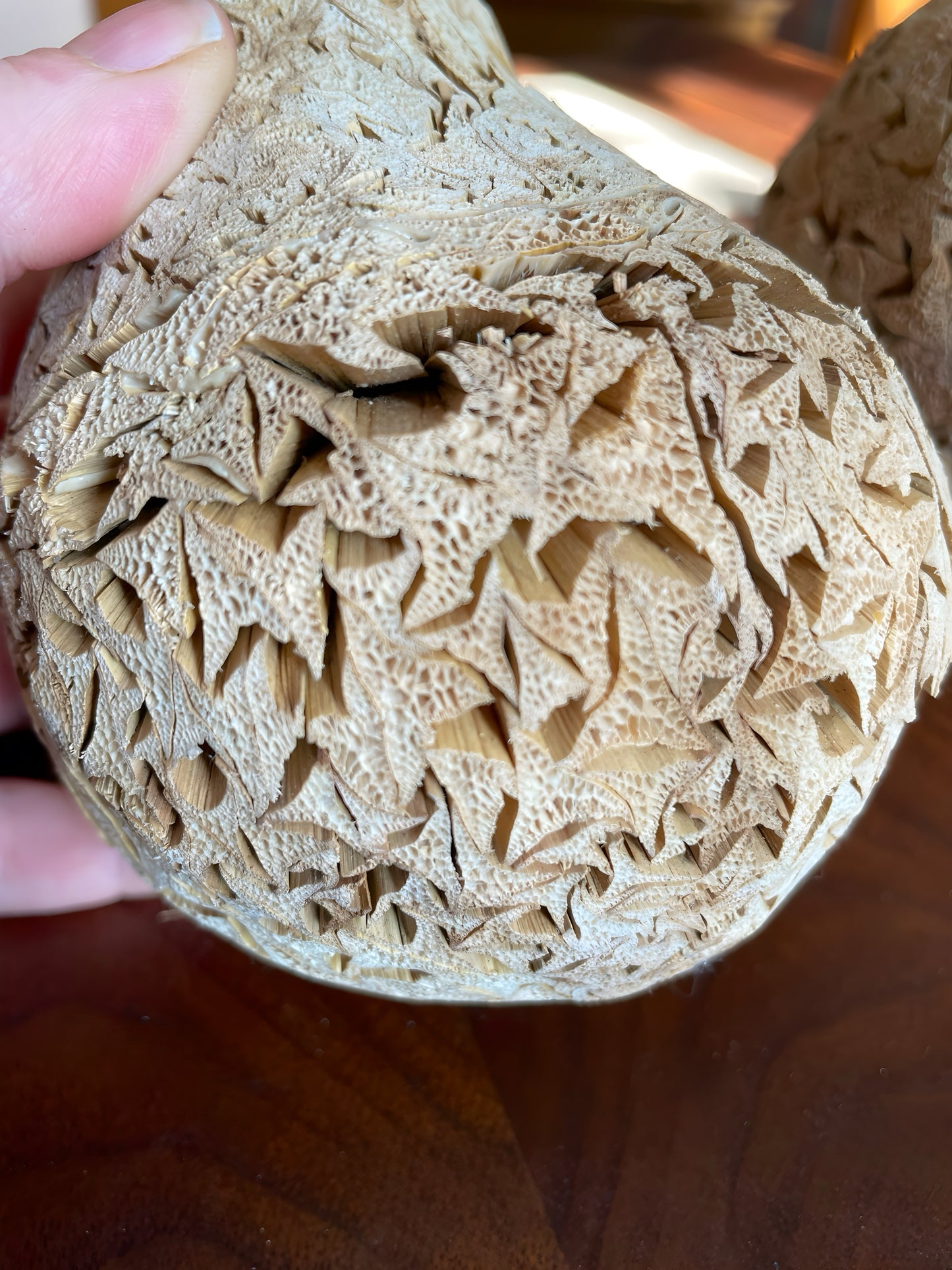 Corn Husk Apple & Pear