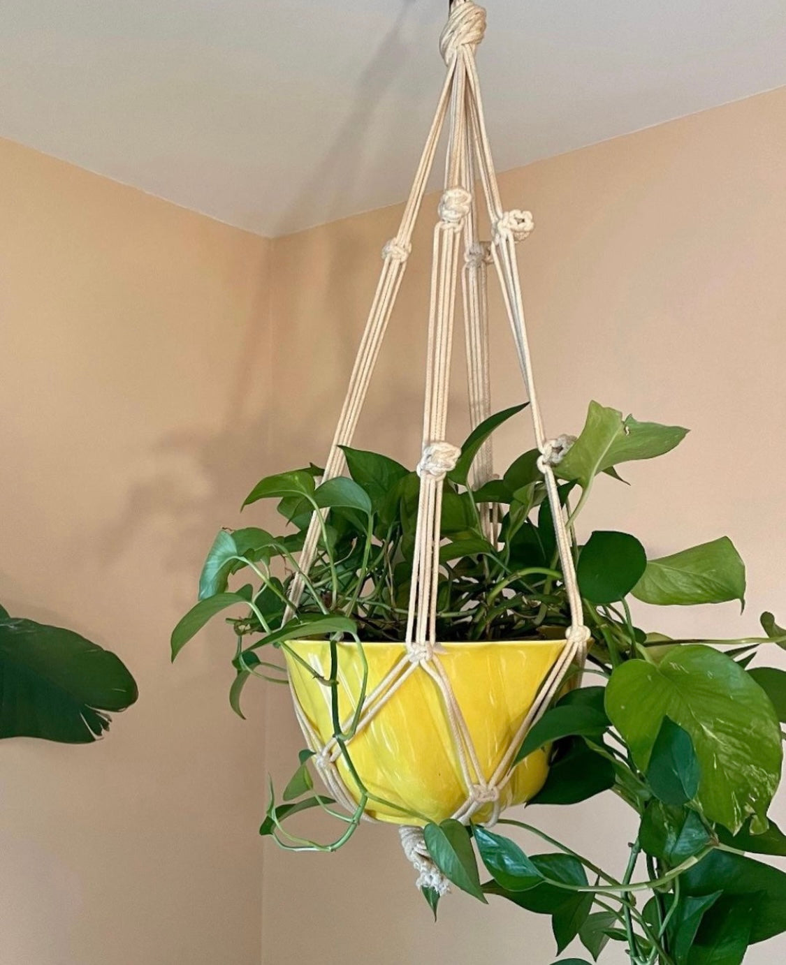 Macrame Plant Hanger with Yellow Ceramic Pot