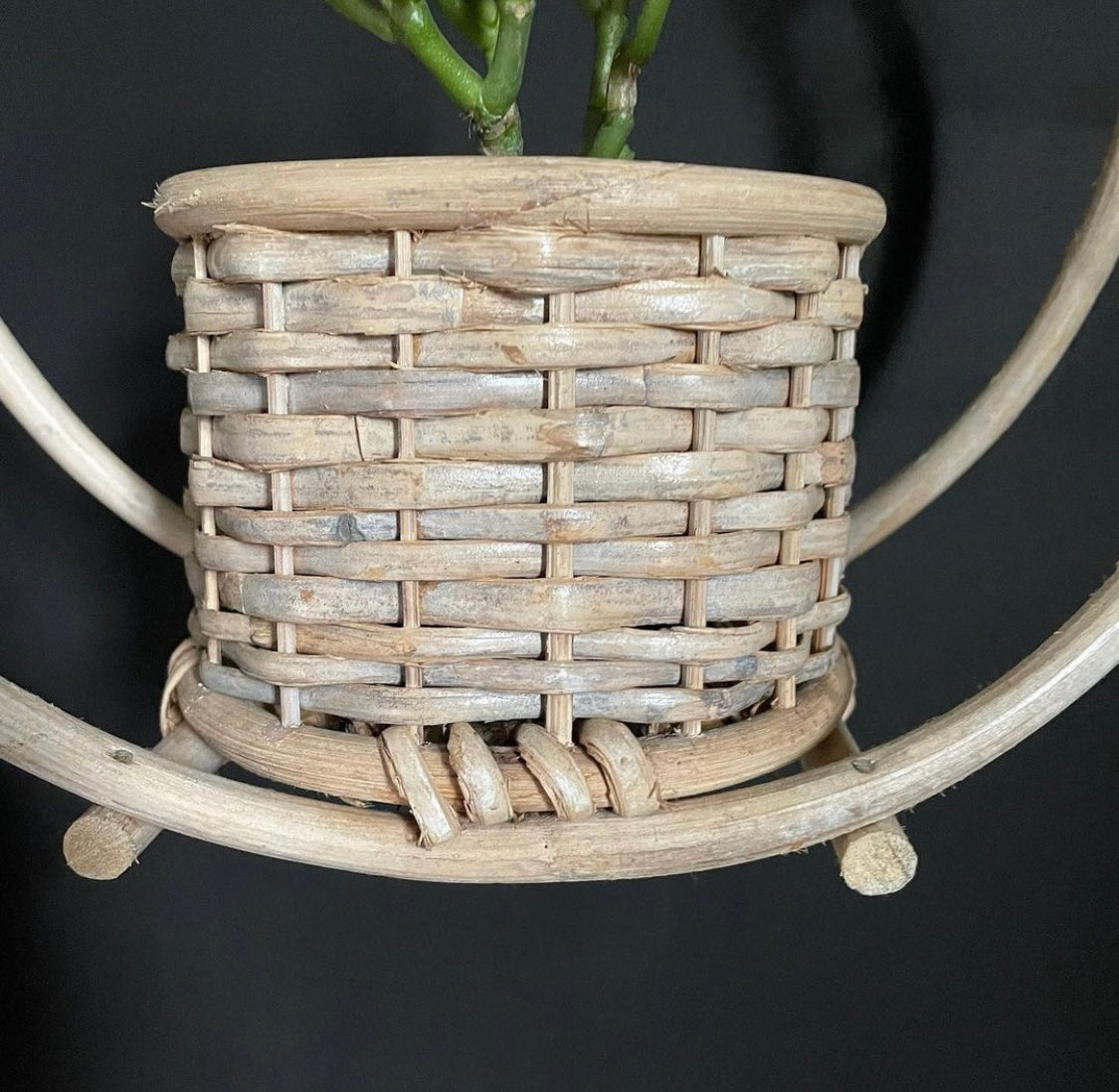 Circular Hanging Planter