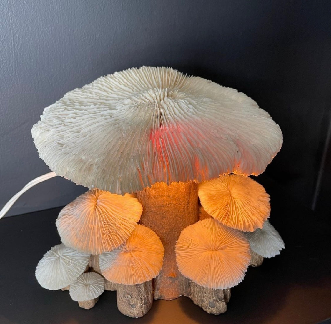 Razor Coral & Plaster Lamp