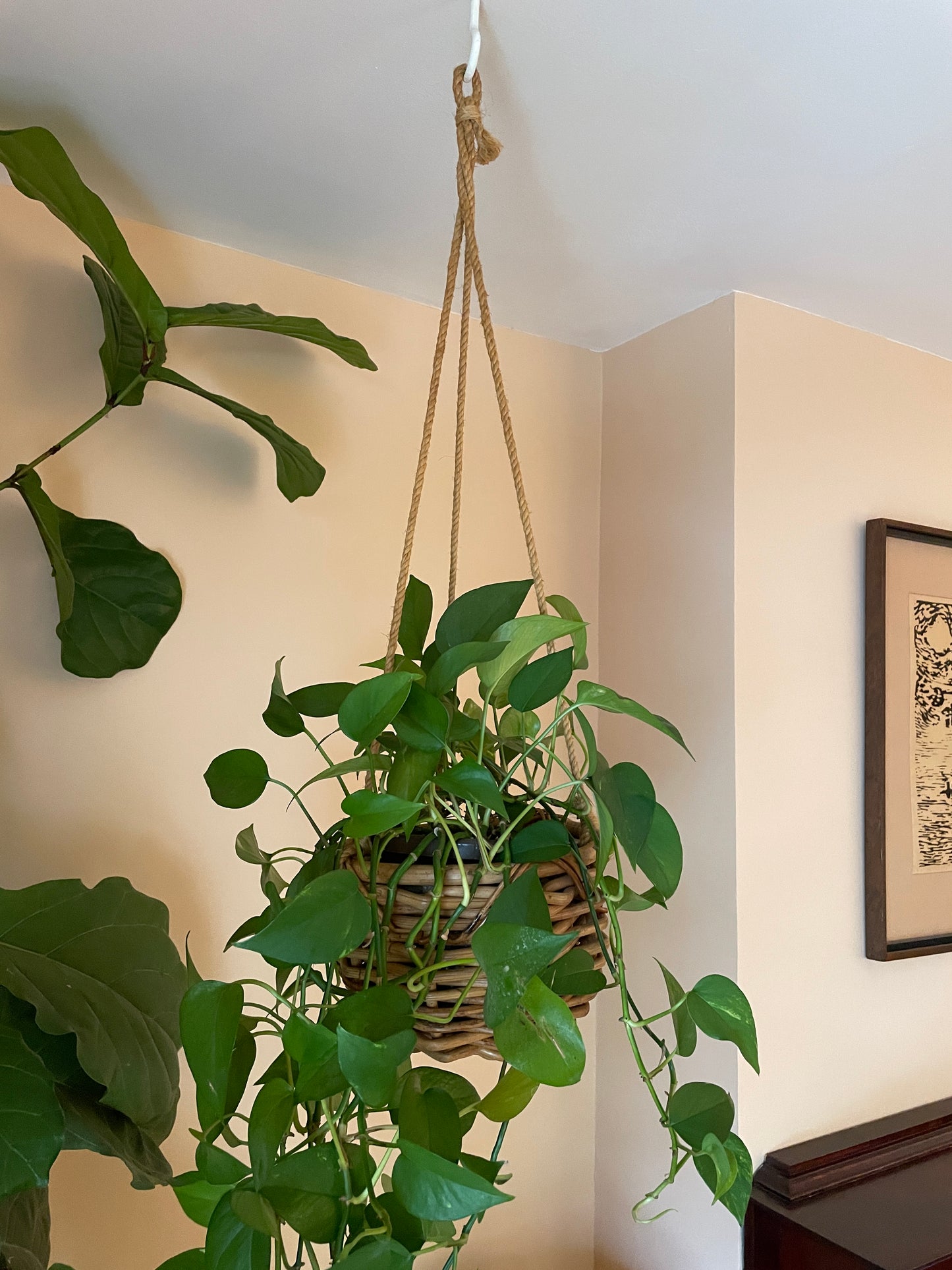 Hanging Wicker Planter