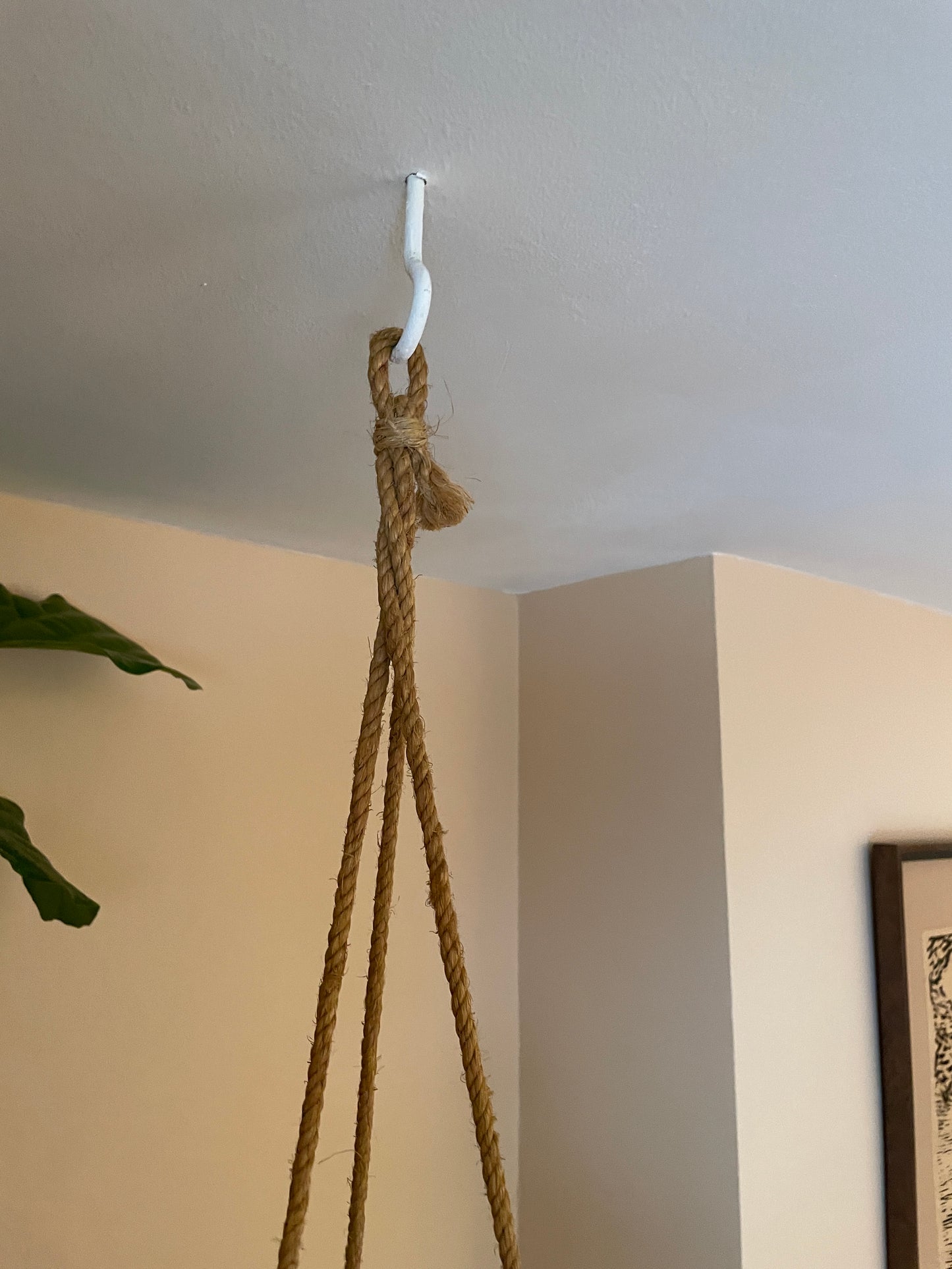 Hanging Wicker Planter
