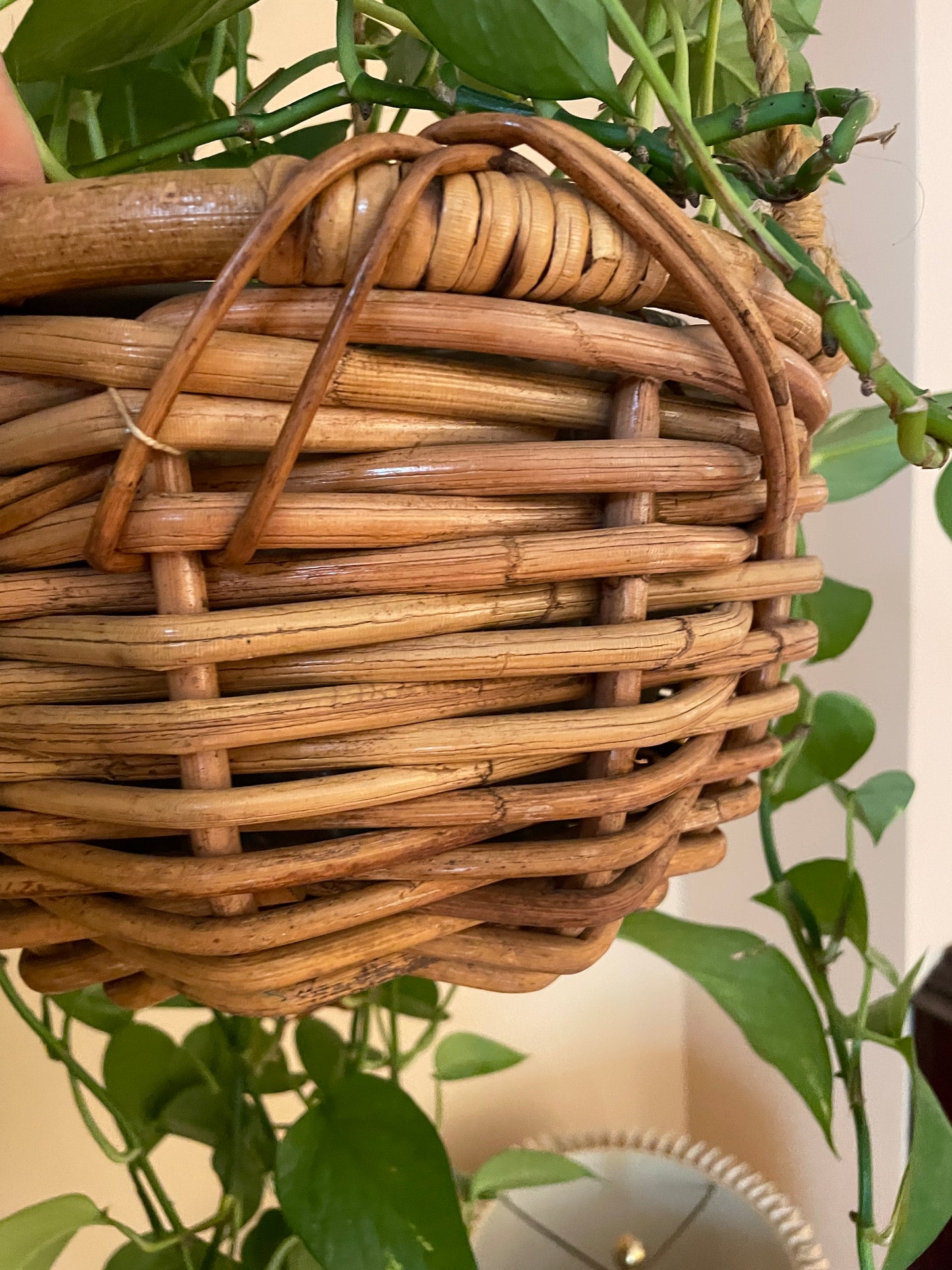 Hanging Wicker Planter