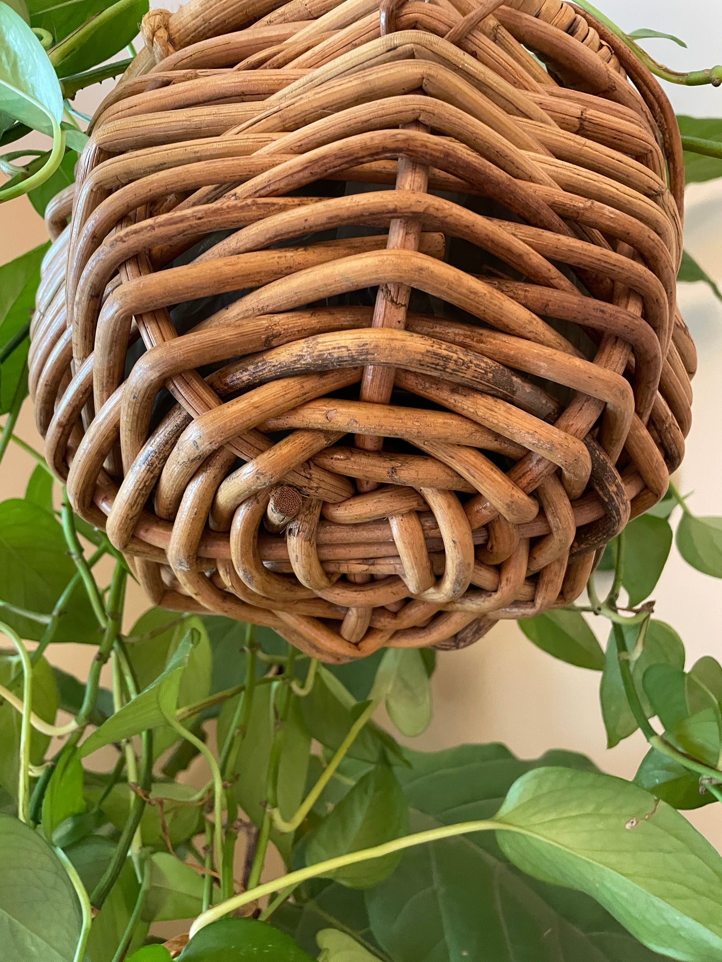 Hanging Wicker Planter