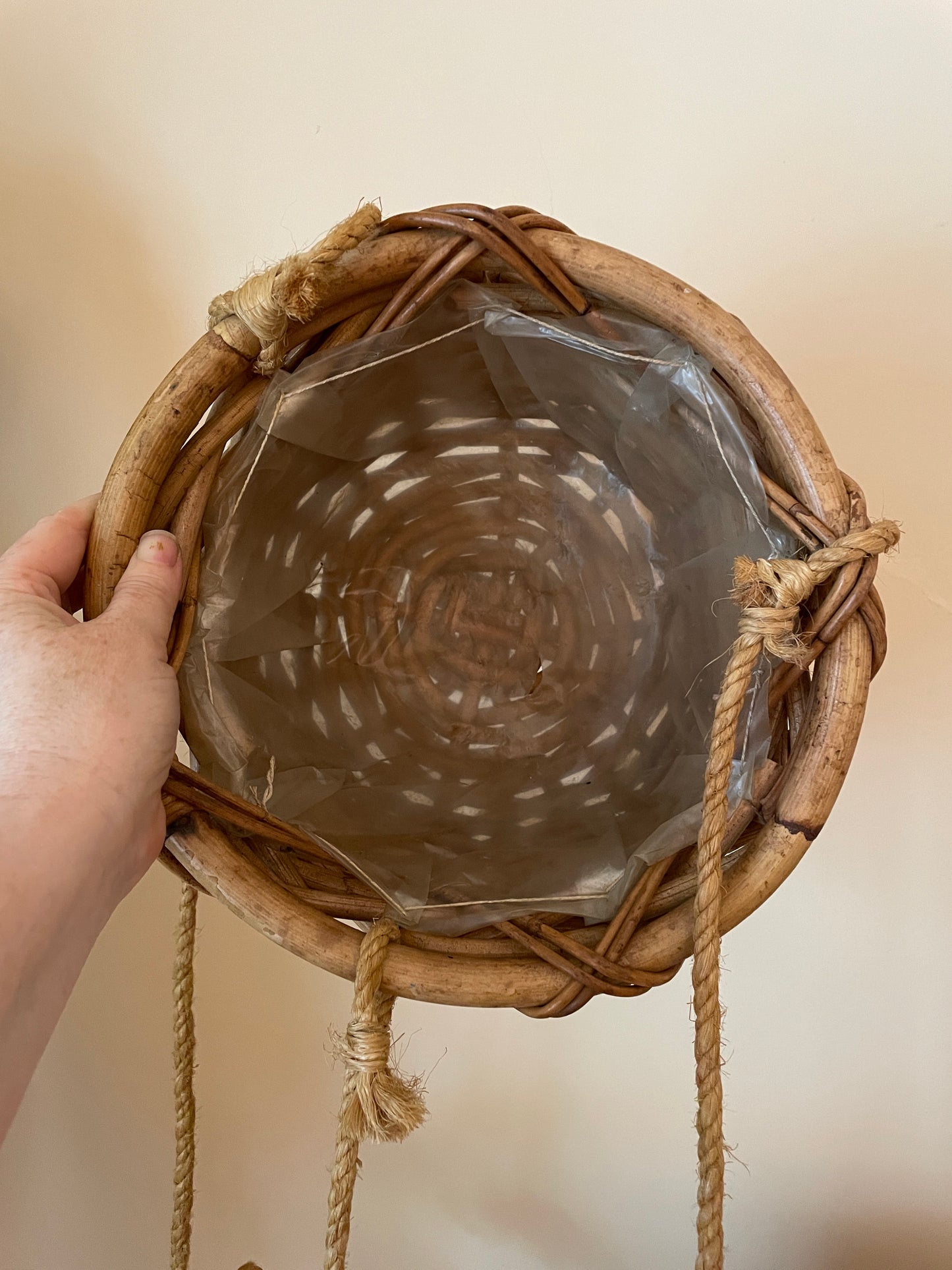 Hanging Wicker Planter