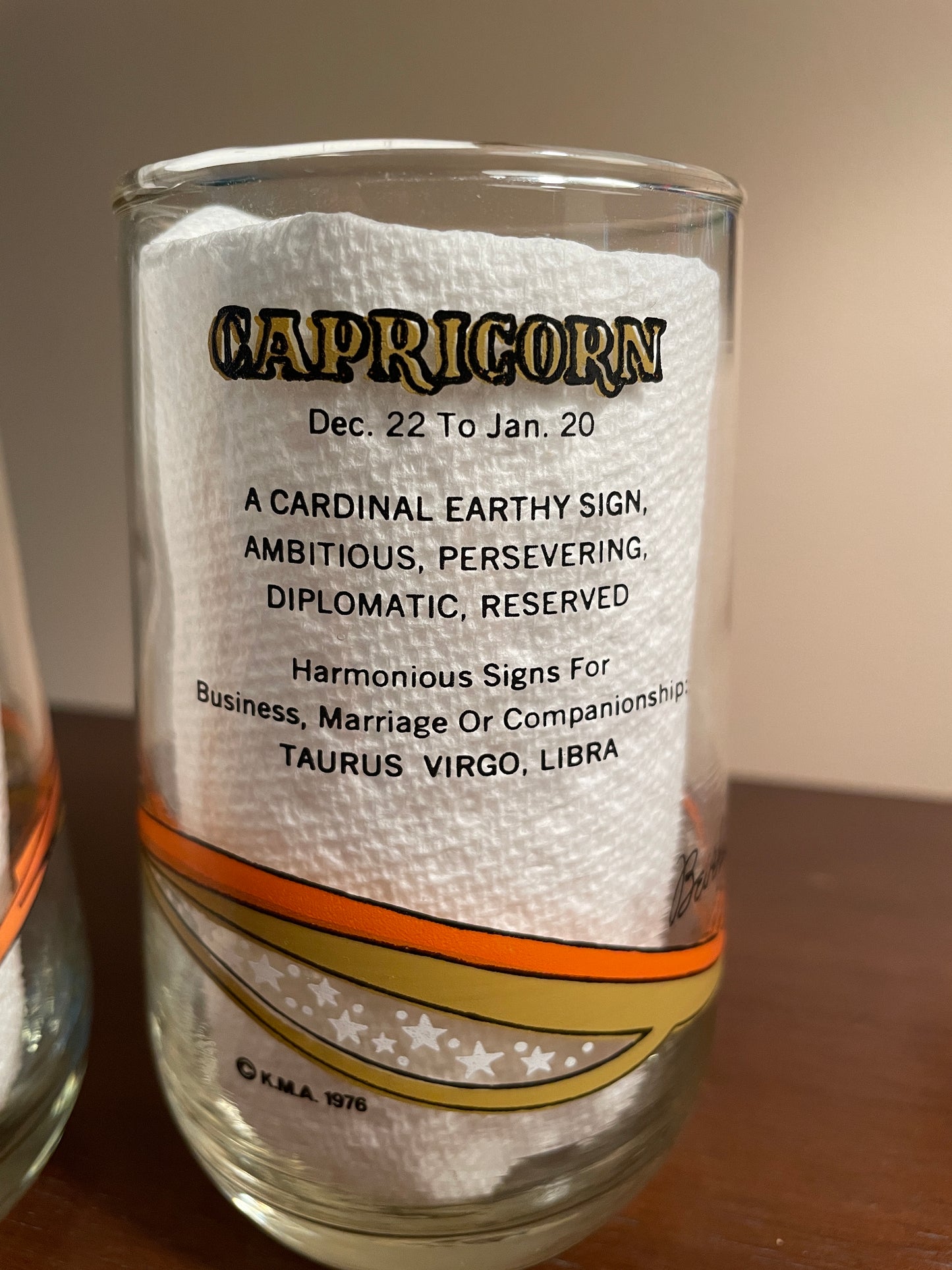 Pair of Capricorn Zodiac Glasses