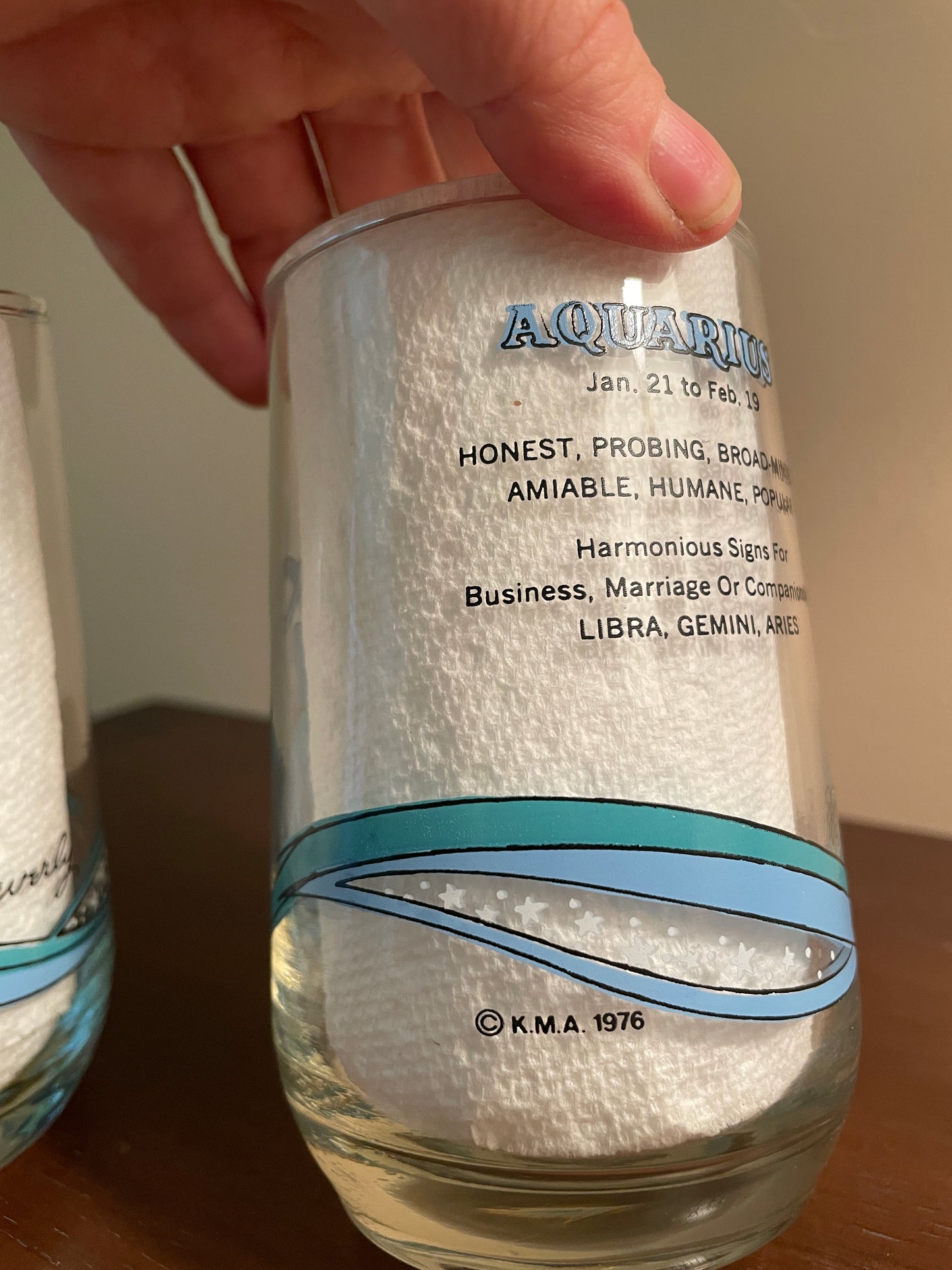 Pair of Aquarius Zodiac Glasses