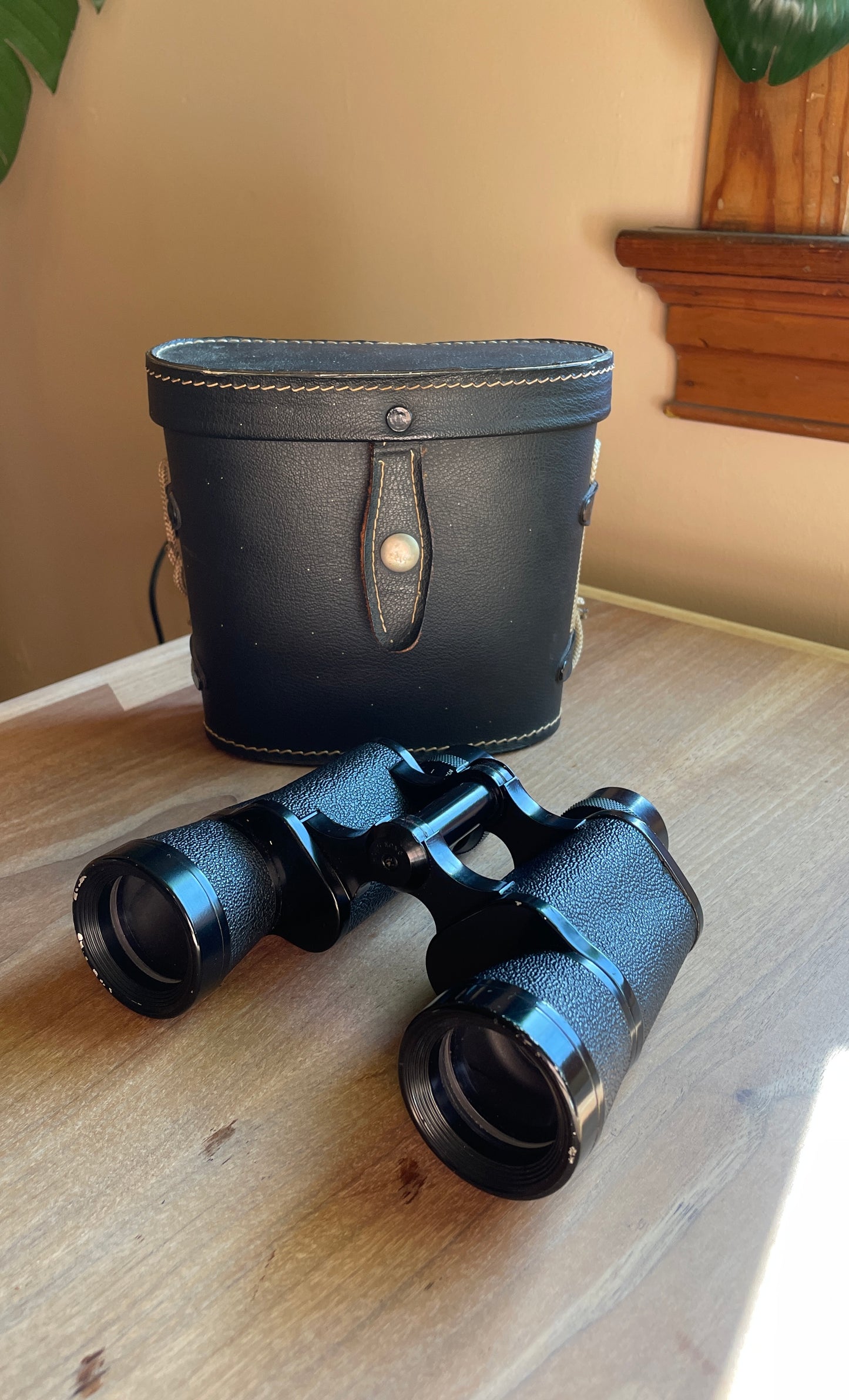 Crown Binoculars and Case