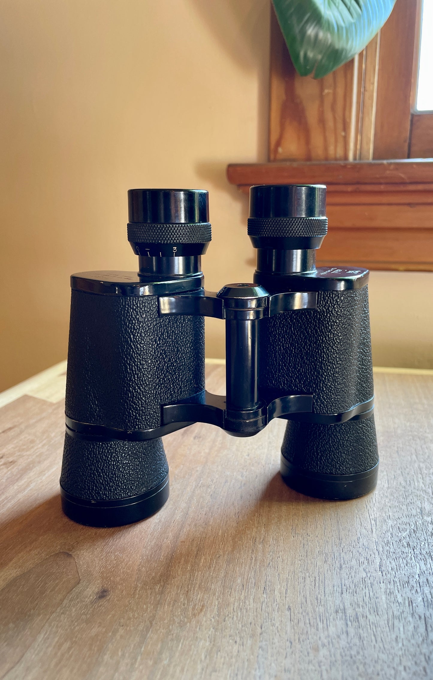 Crown Binoculars and Case