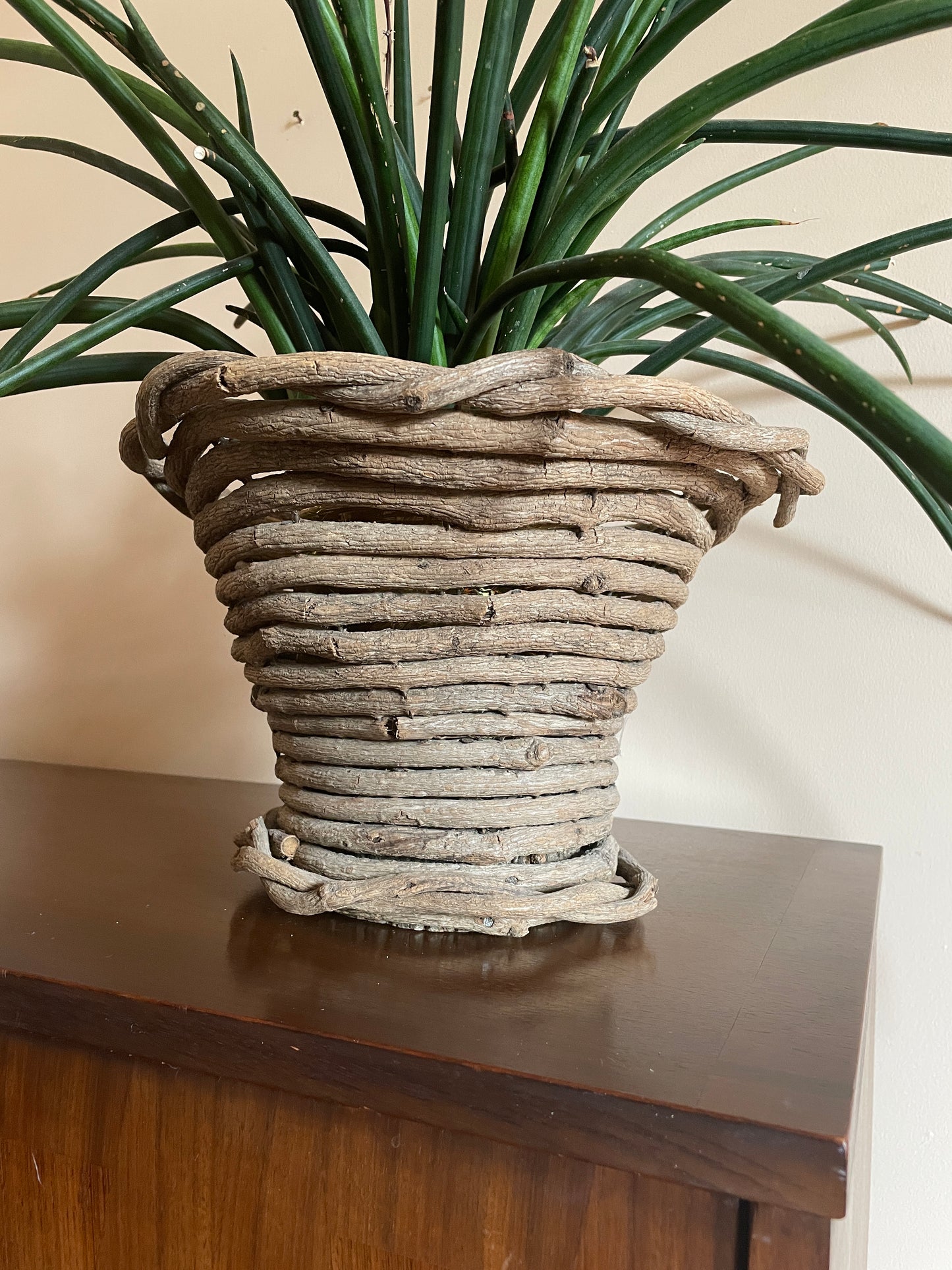 Planter Basket of Vine & Wood Round