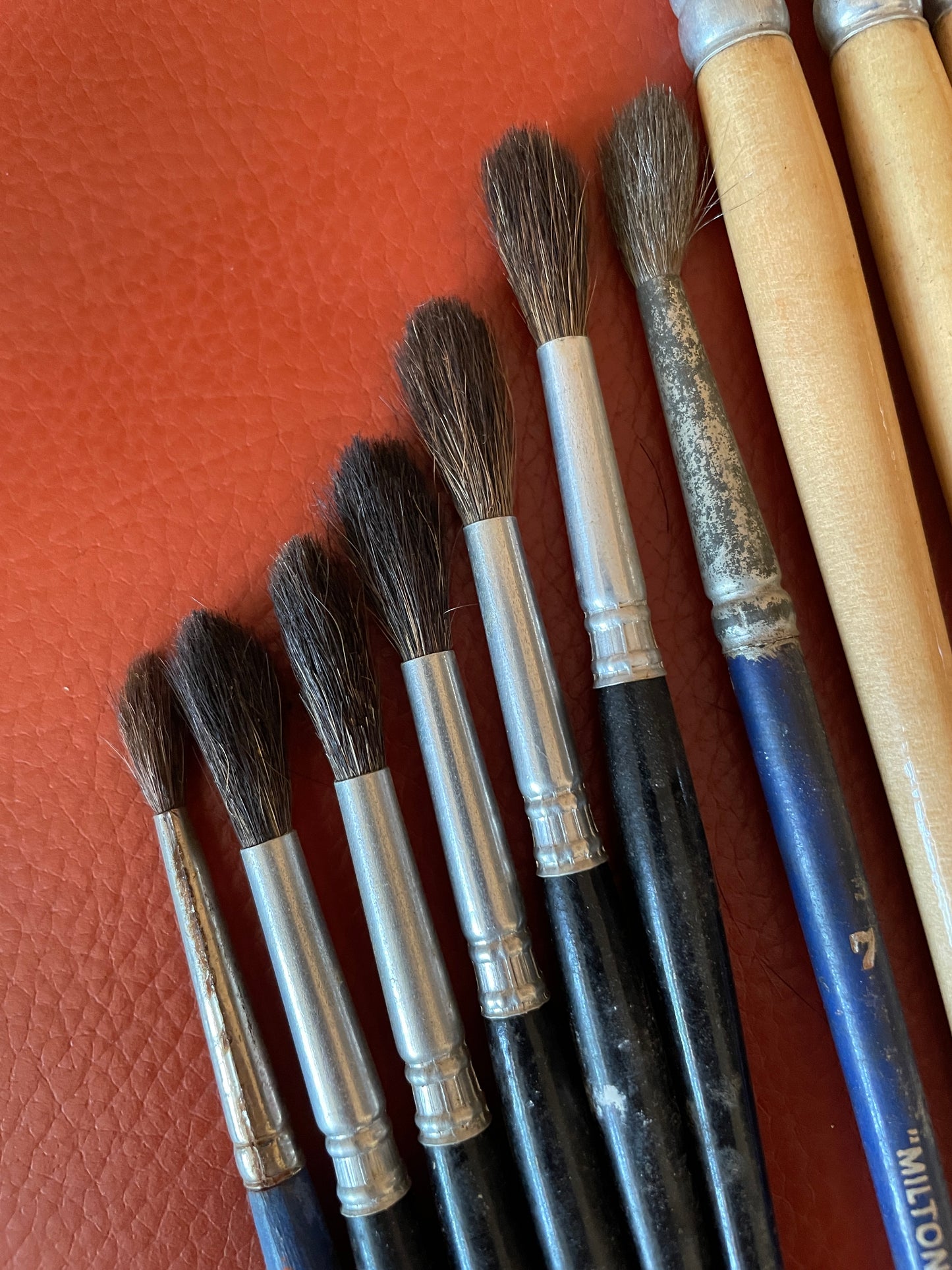 Collection of Vintage Paint Brushes