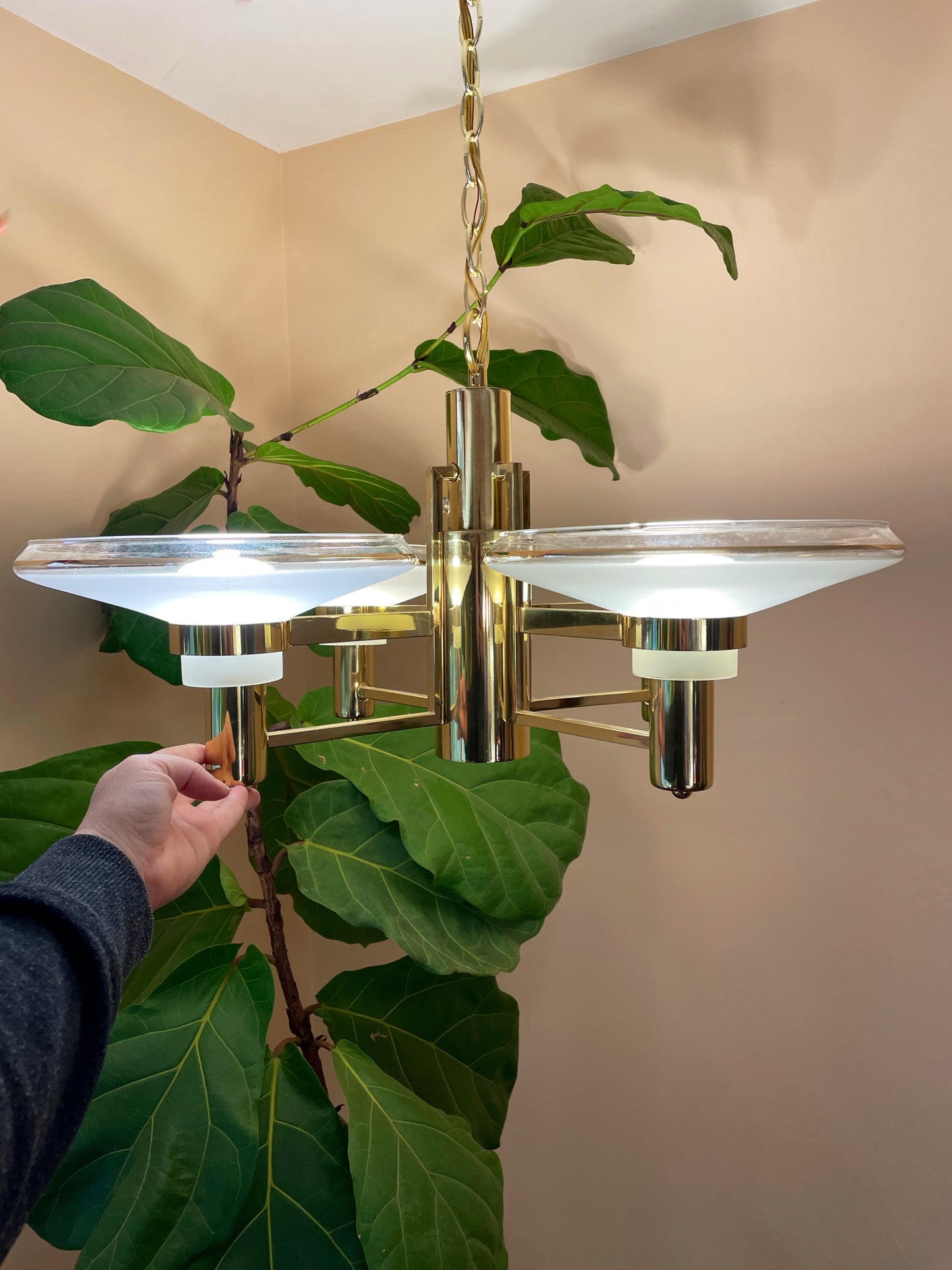 Brass & Frosted Glass Saucer Chandelier