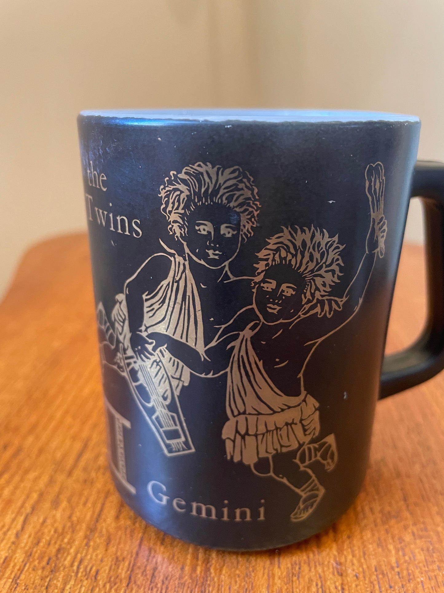 Gemini Mug