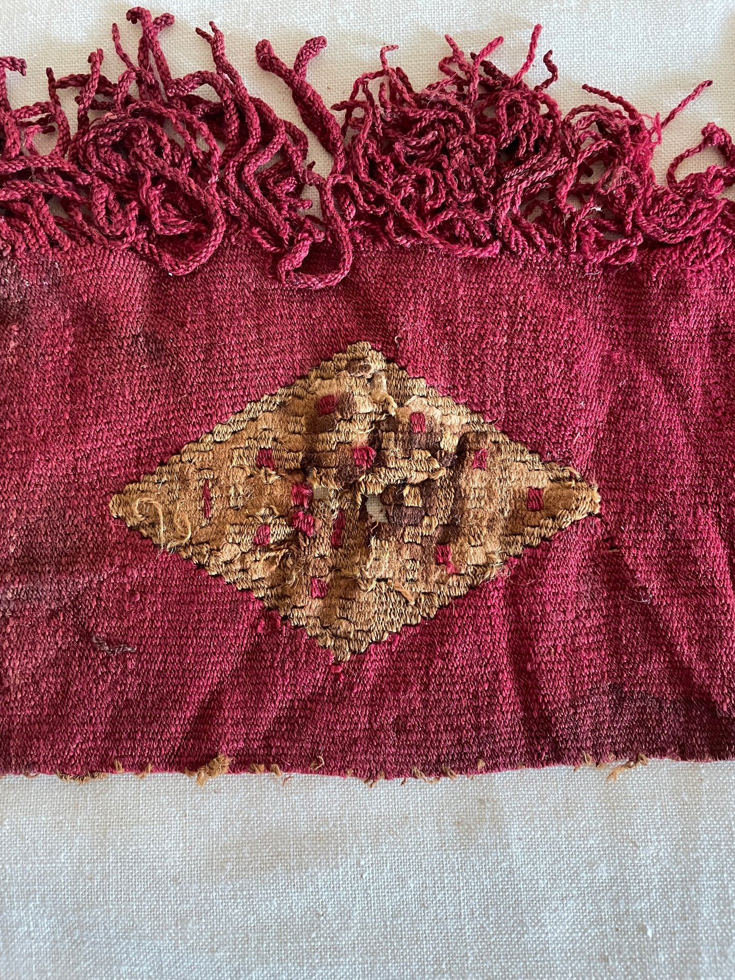 Framed Tapestry Fragment