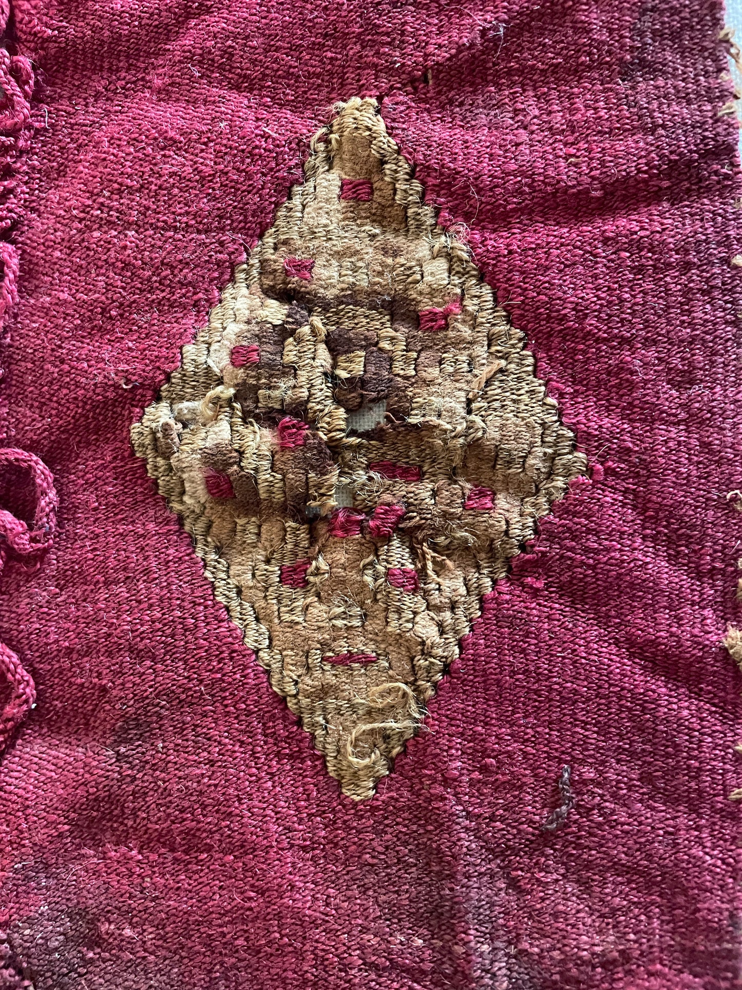 Framed Tapestry Fragment