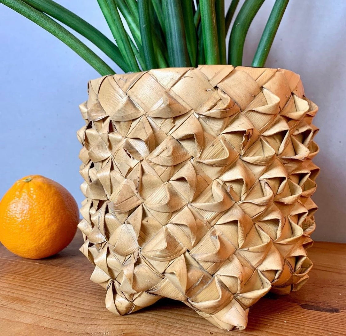 Woven Planter