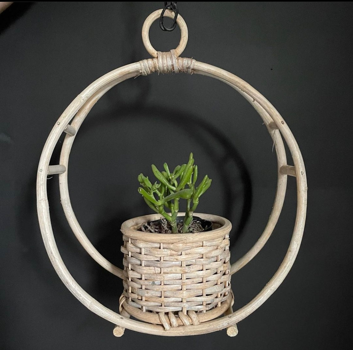 Circular Hanging Planter