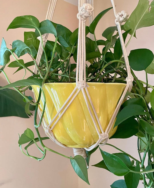 Macrame Plant Hanger with Yellow Ceramic Pot