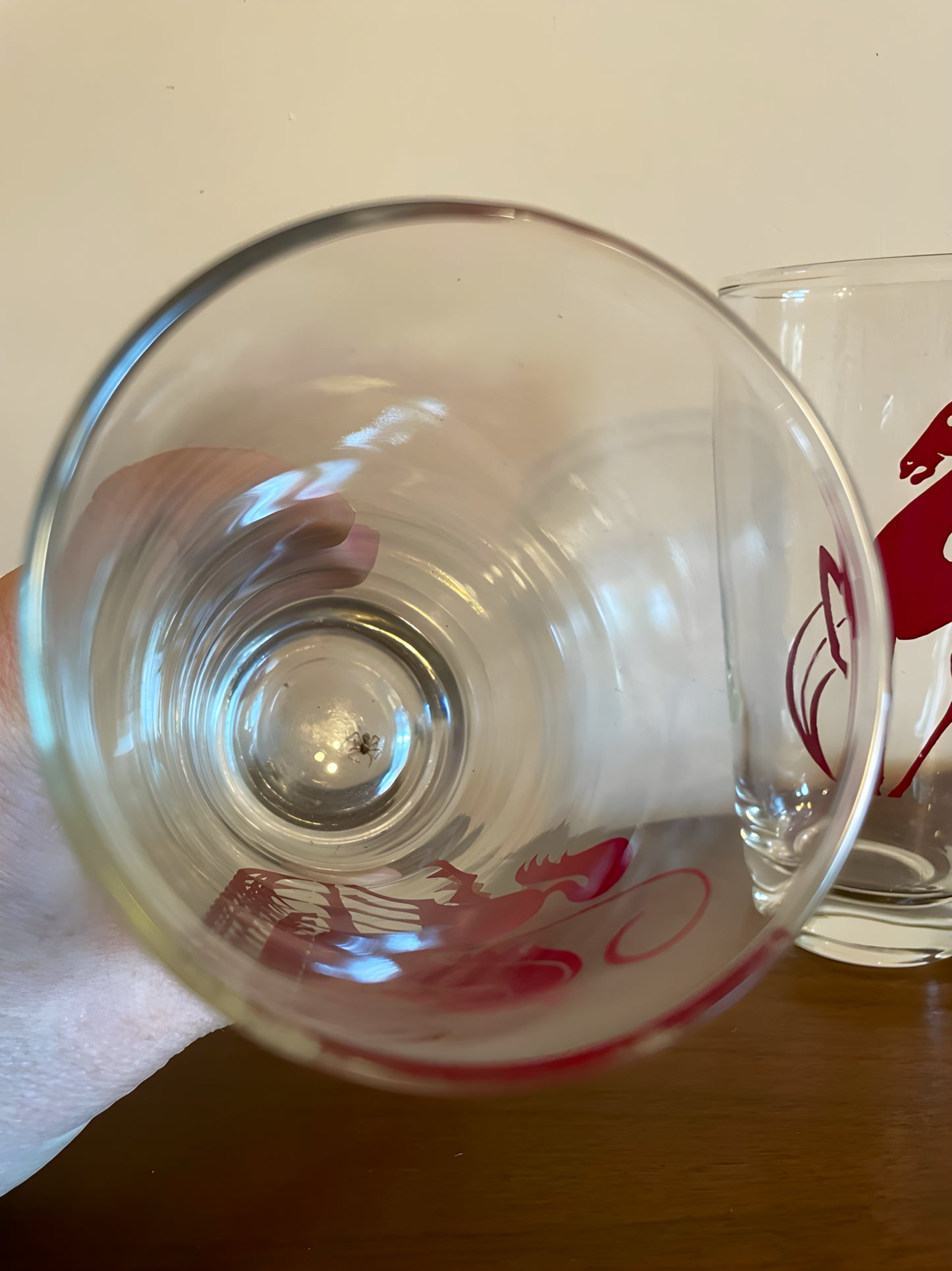 Pair of Tapered Highball Stallion Glasses