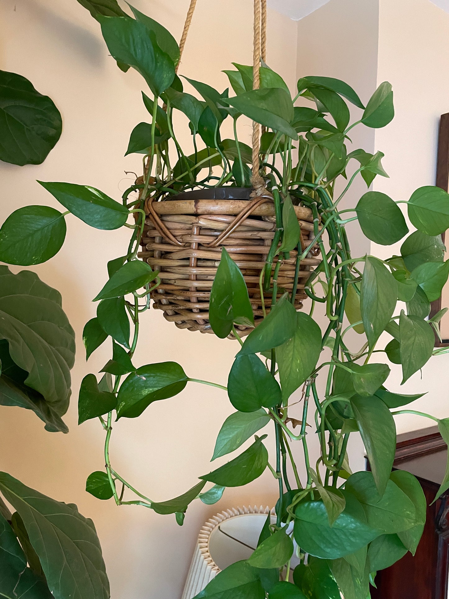 Hanging Wicker Planter