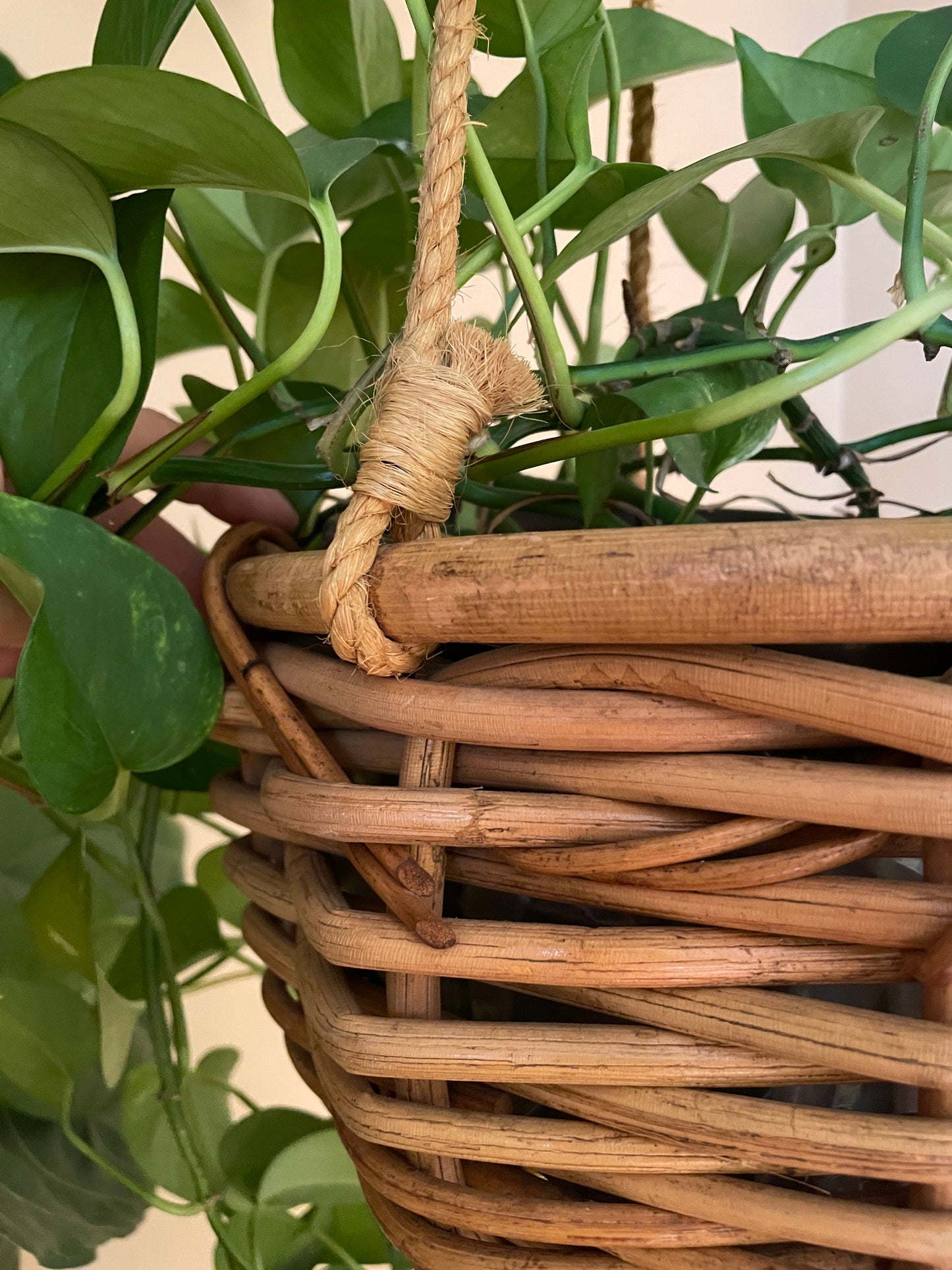 Hanging Wicker Planter