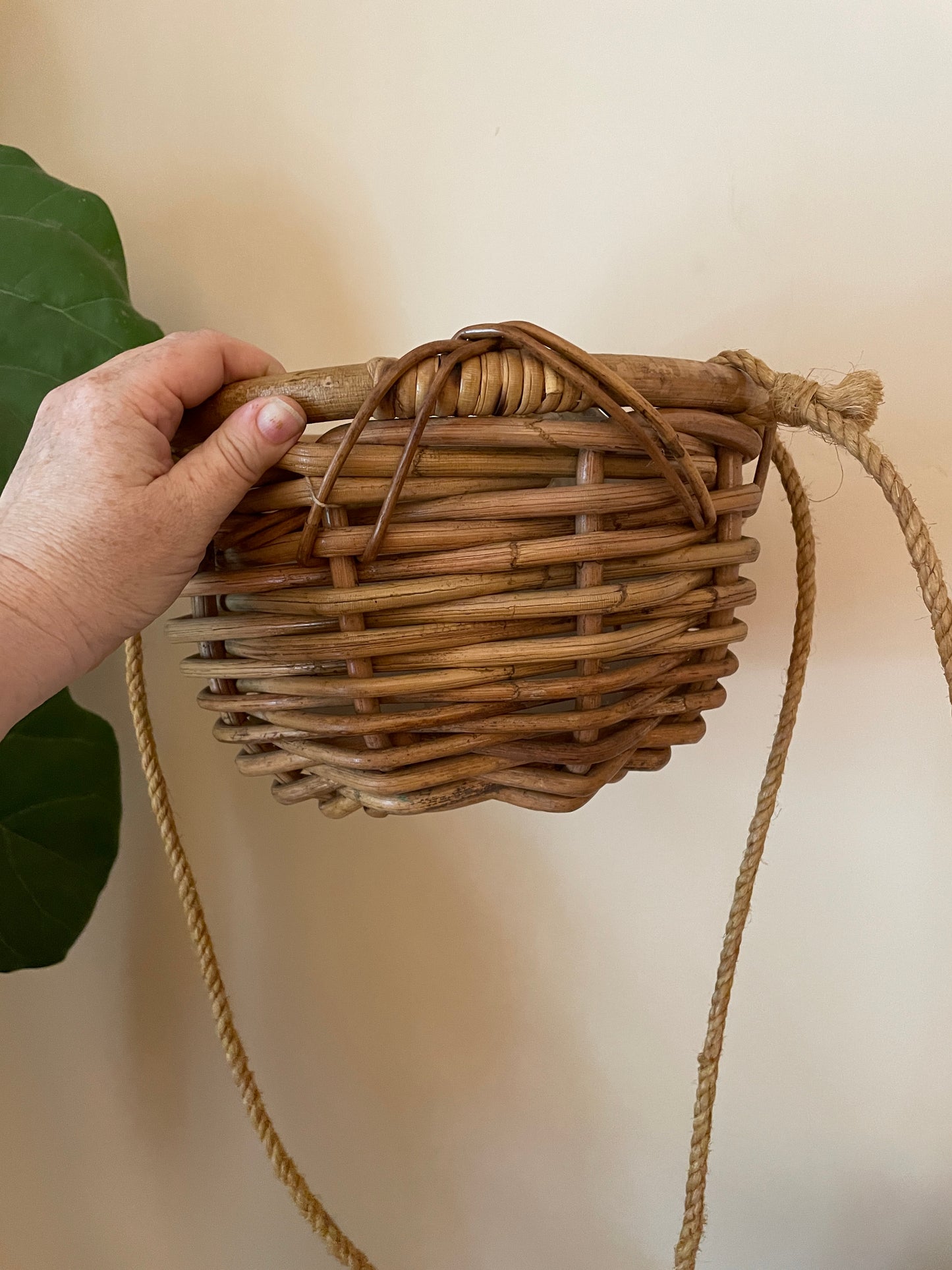 Hanging Wicker Planter