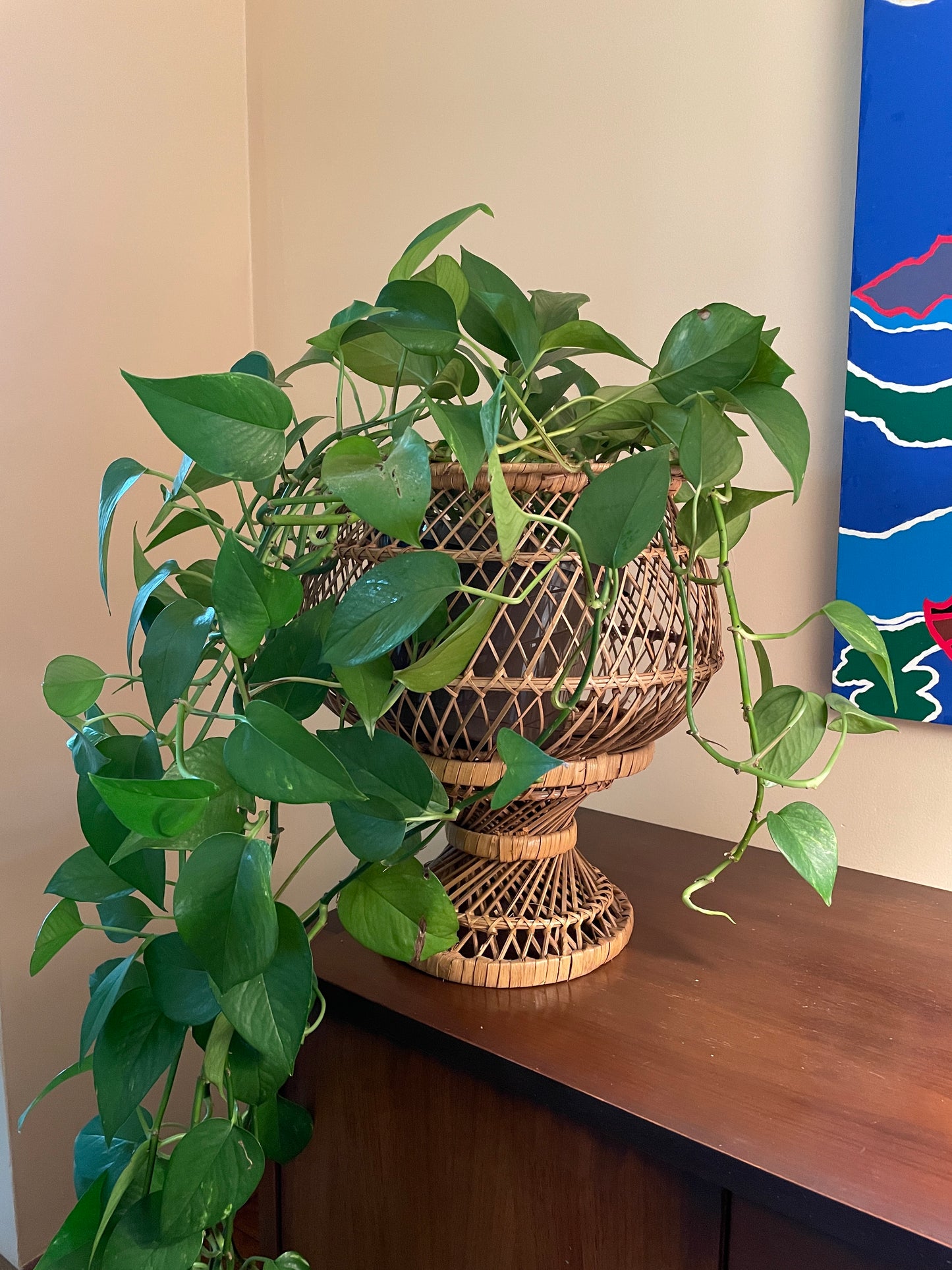 Large Wicker Planter