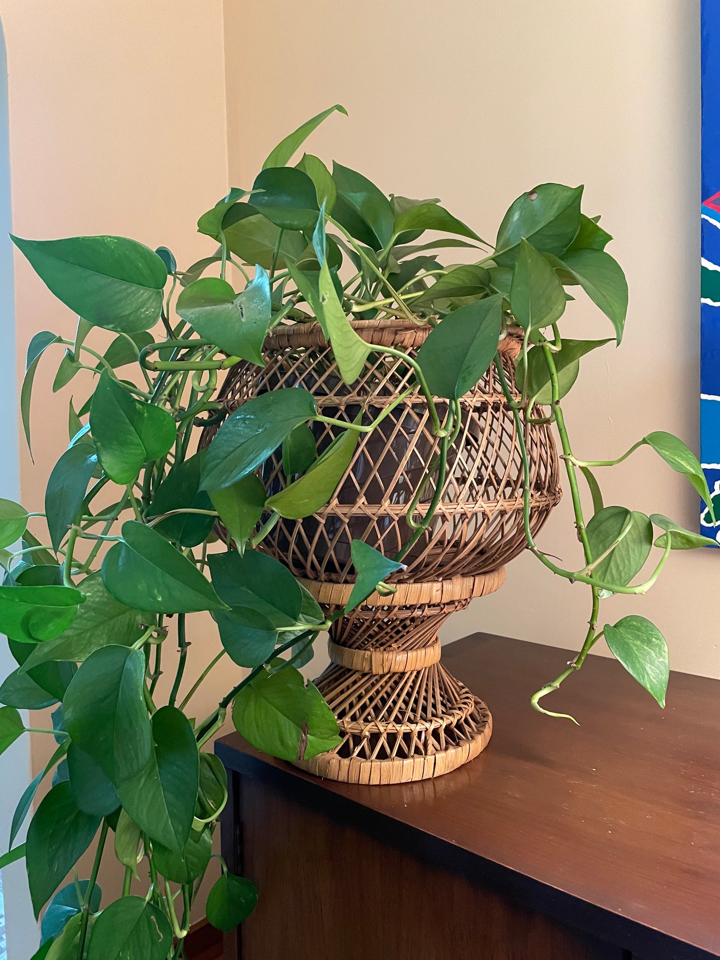 Large Wicker Planter