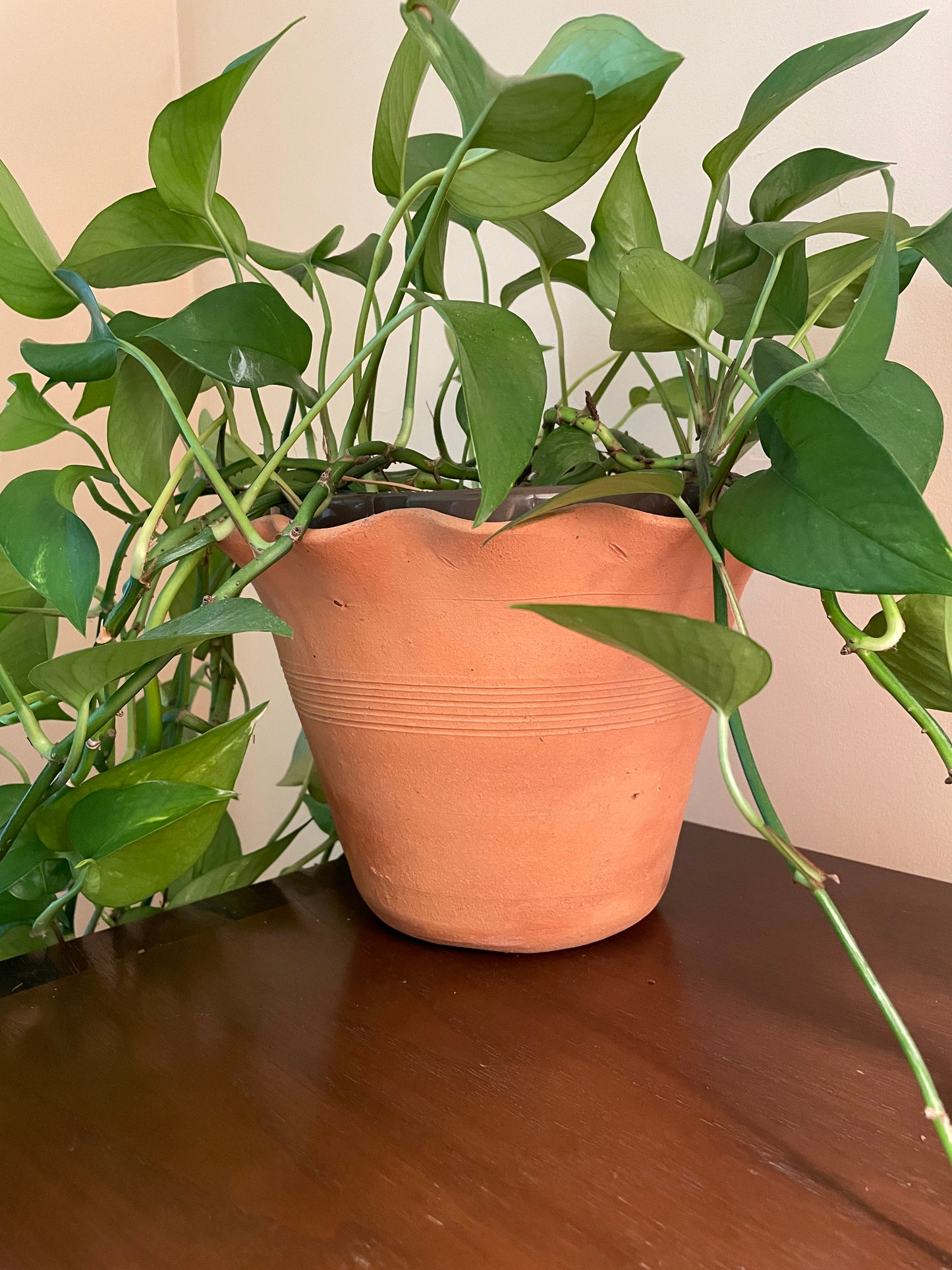 Ruffle Edge Terra Cotta Pot