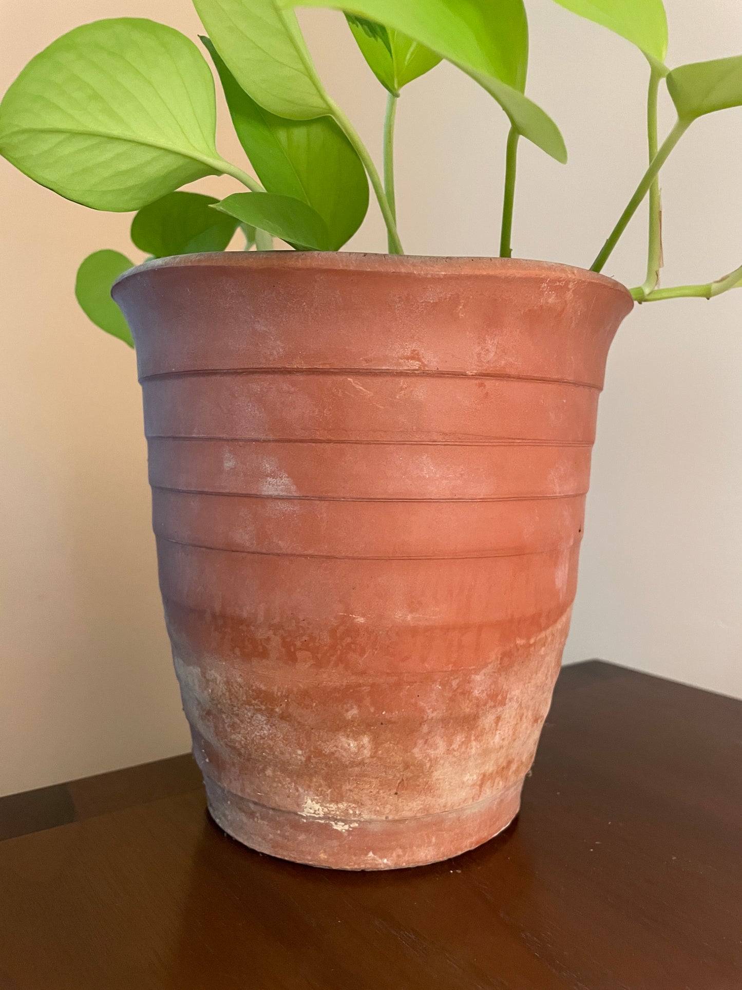 Striped Terra Cotta Pot