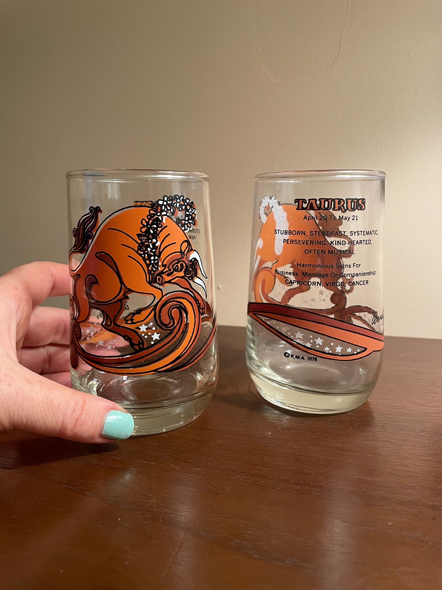 Pair of Taurus Zodiac Glasses