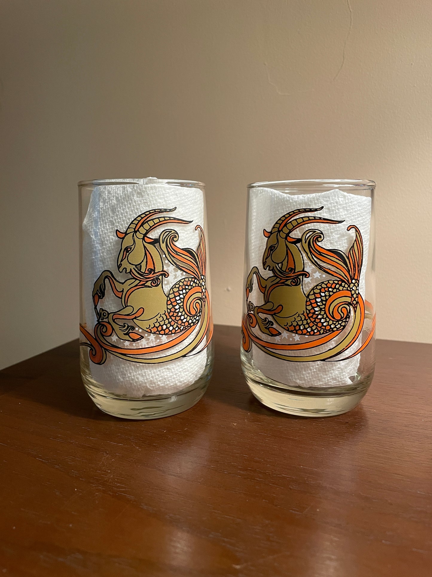 Pair of Capricorn Zodiac Glasses