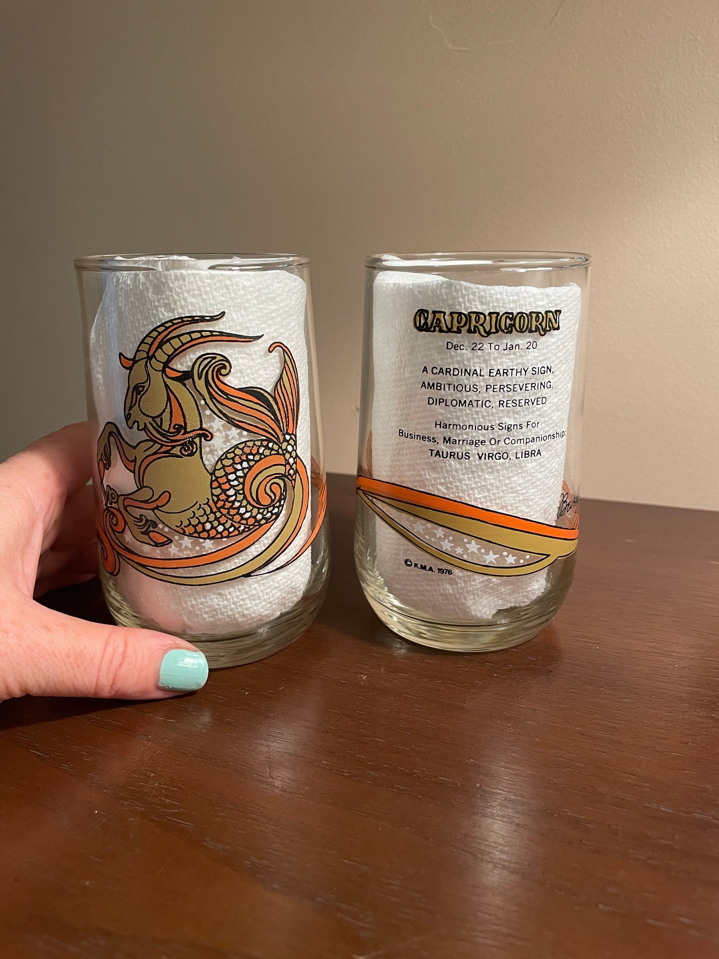 Pair of Capricorn Zodiac Glasses