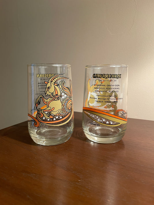 Pair of Capricorn Zodiac Glasses