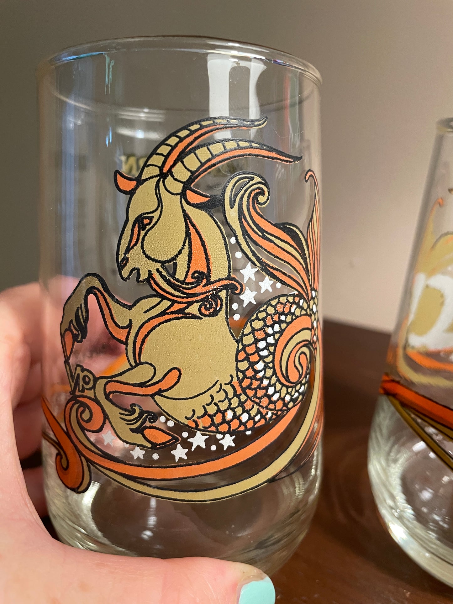 Pair of Capricorn Zodiac Glasses