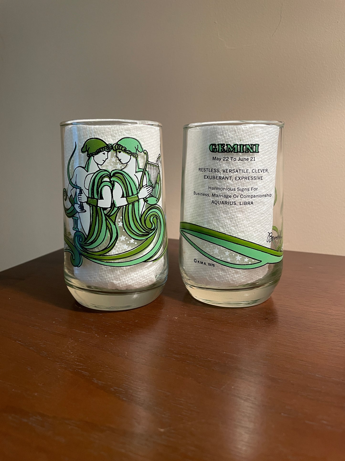 Pair of Gemini Zodiac Glasses