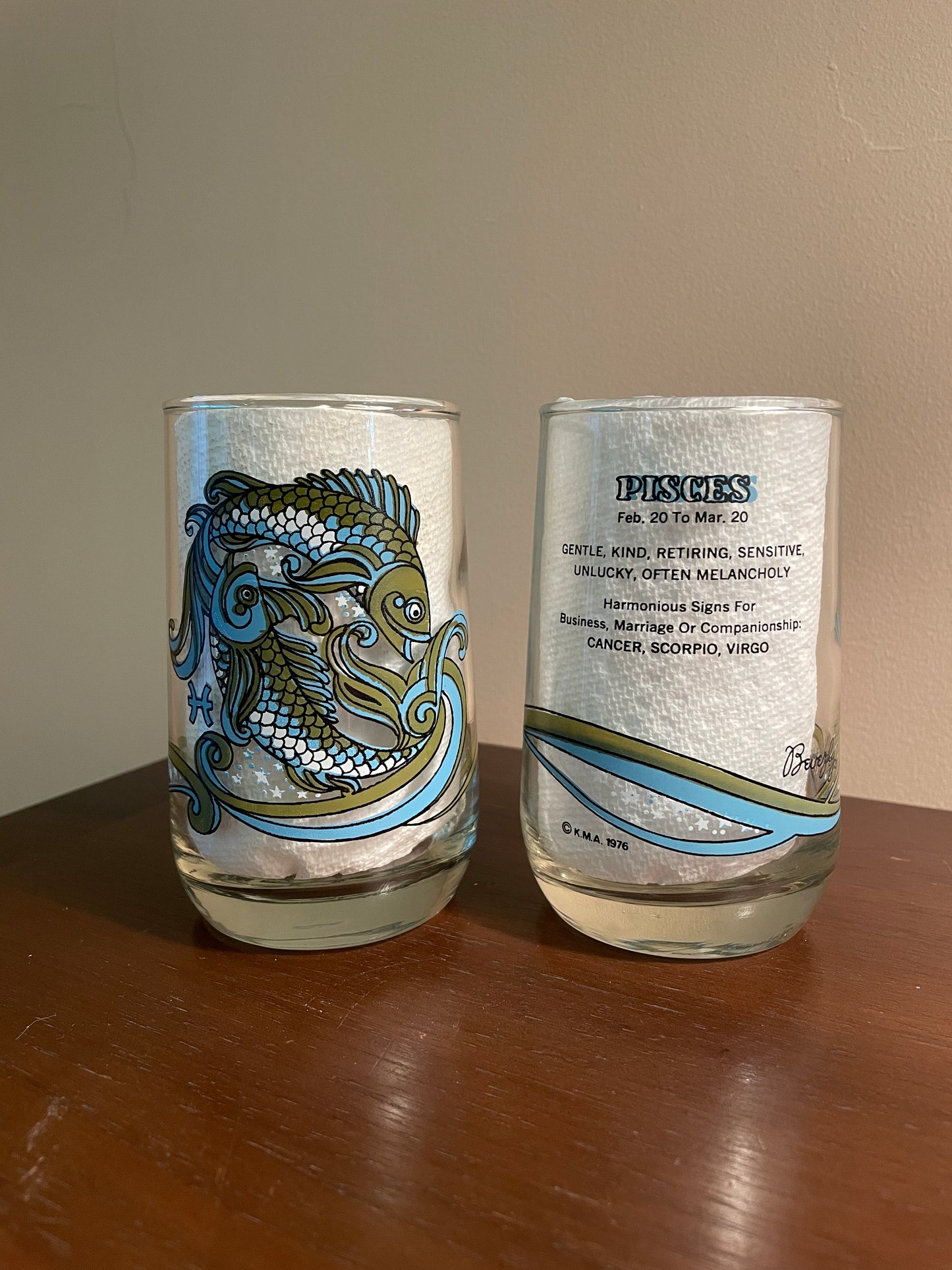 Pair of Pisces Zodiac Glasses