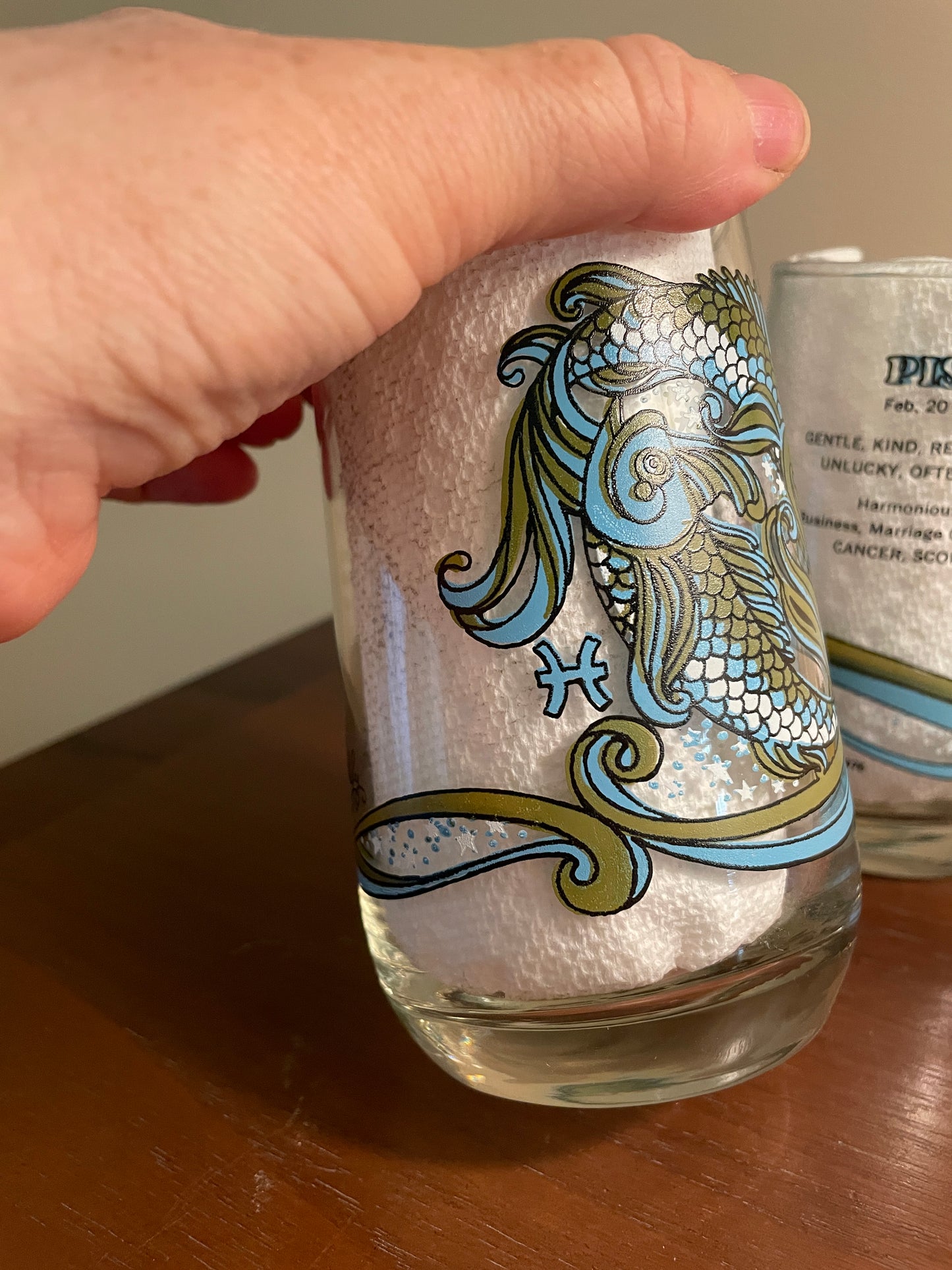 Pair of Pisces Zodiac Glasses