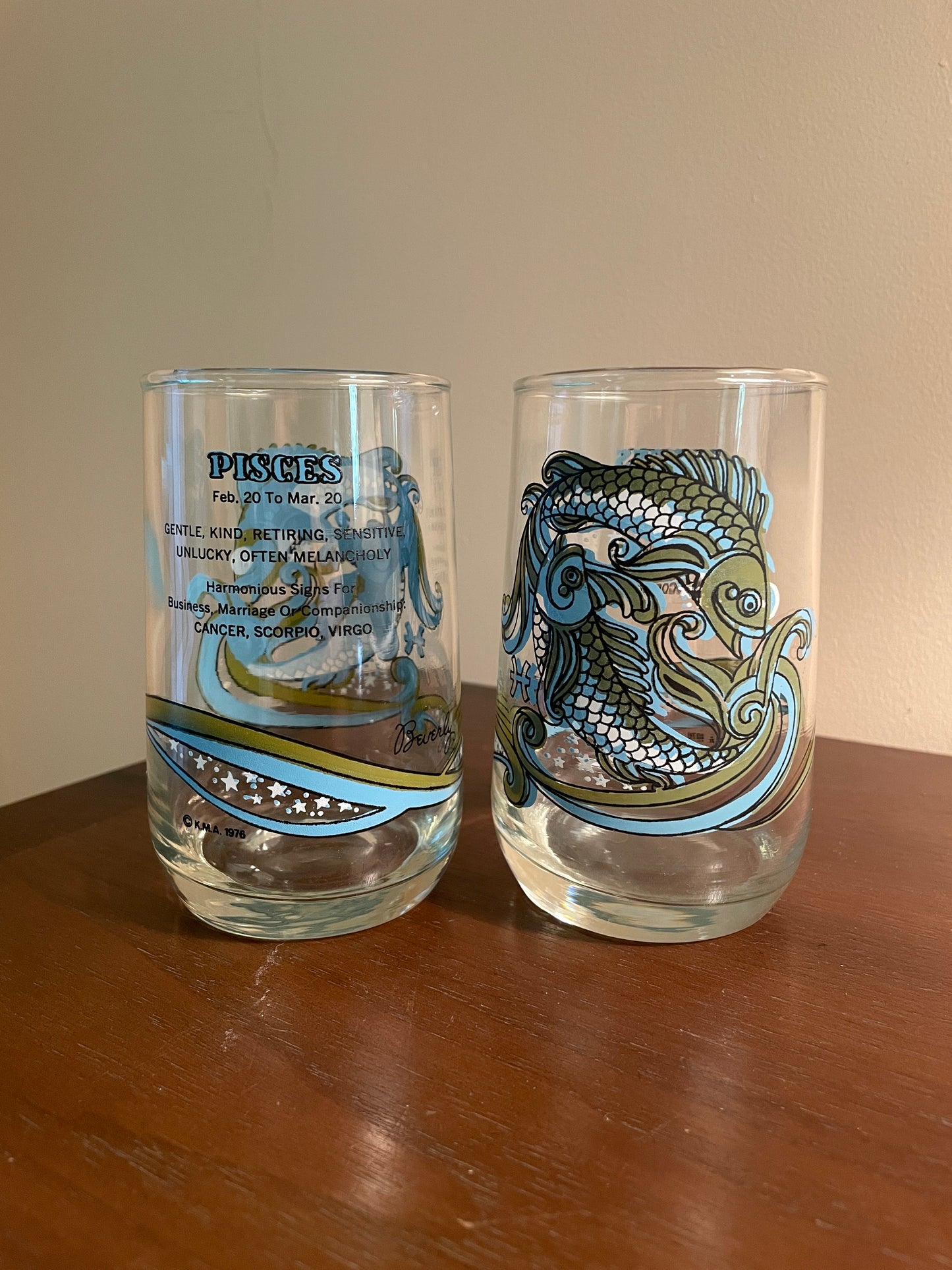 Pair of Pisces Zodiac Glasses