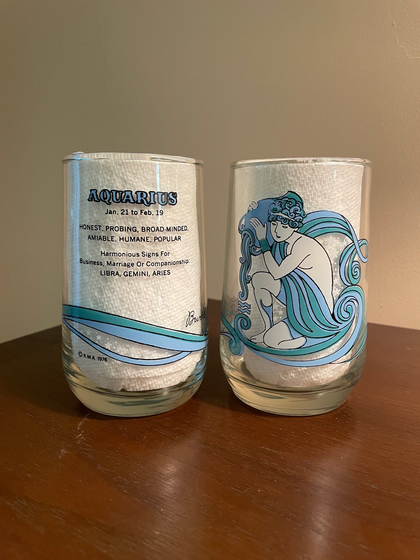 Pair of Aquarius Zodiac Glasses