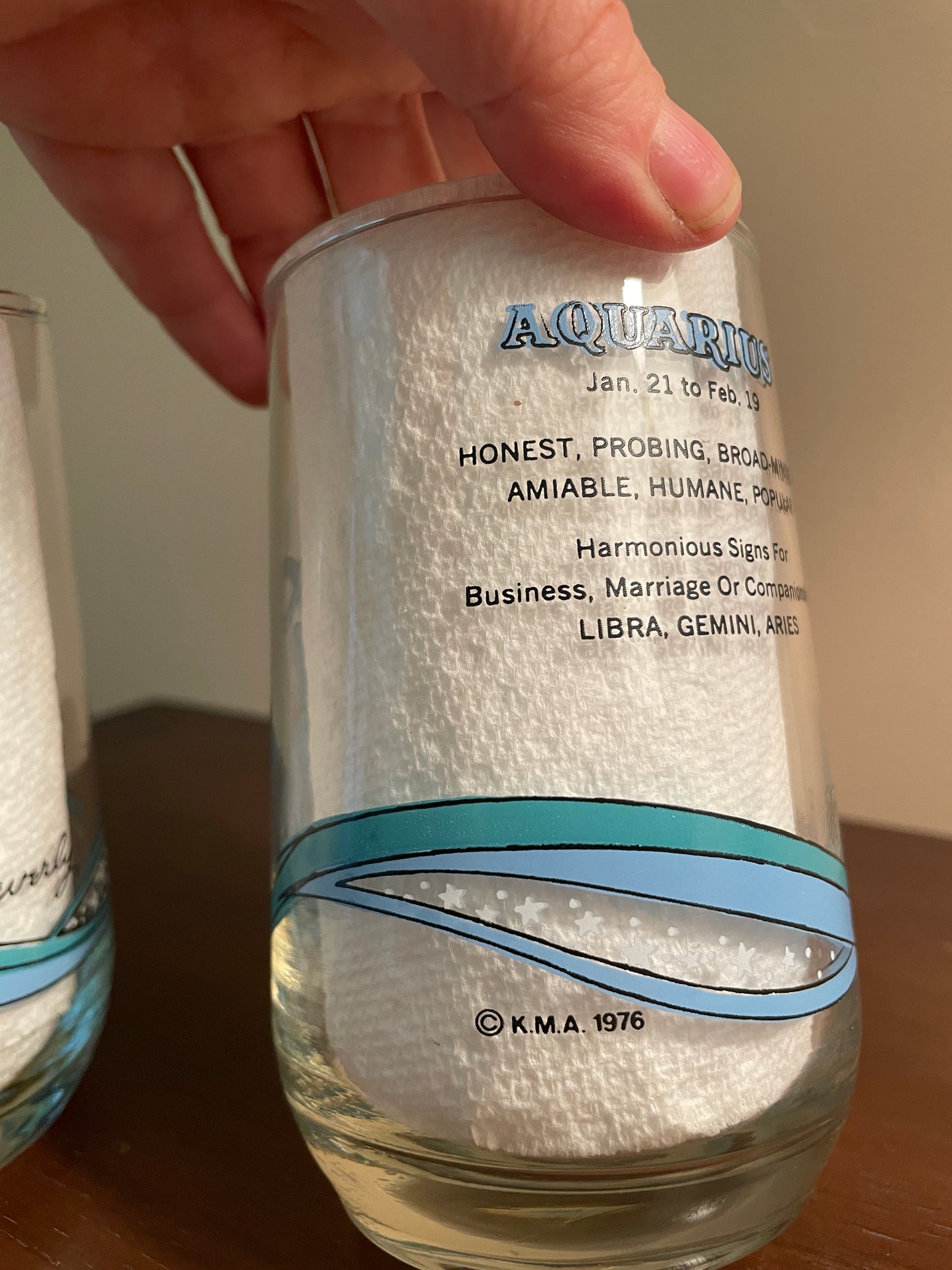 Pair of Aquarius Zodiac Glasses